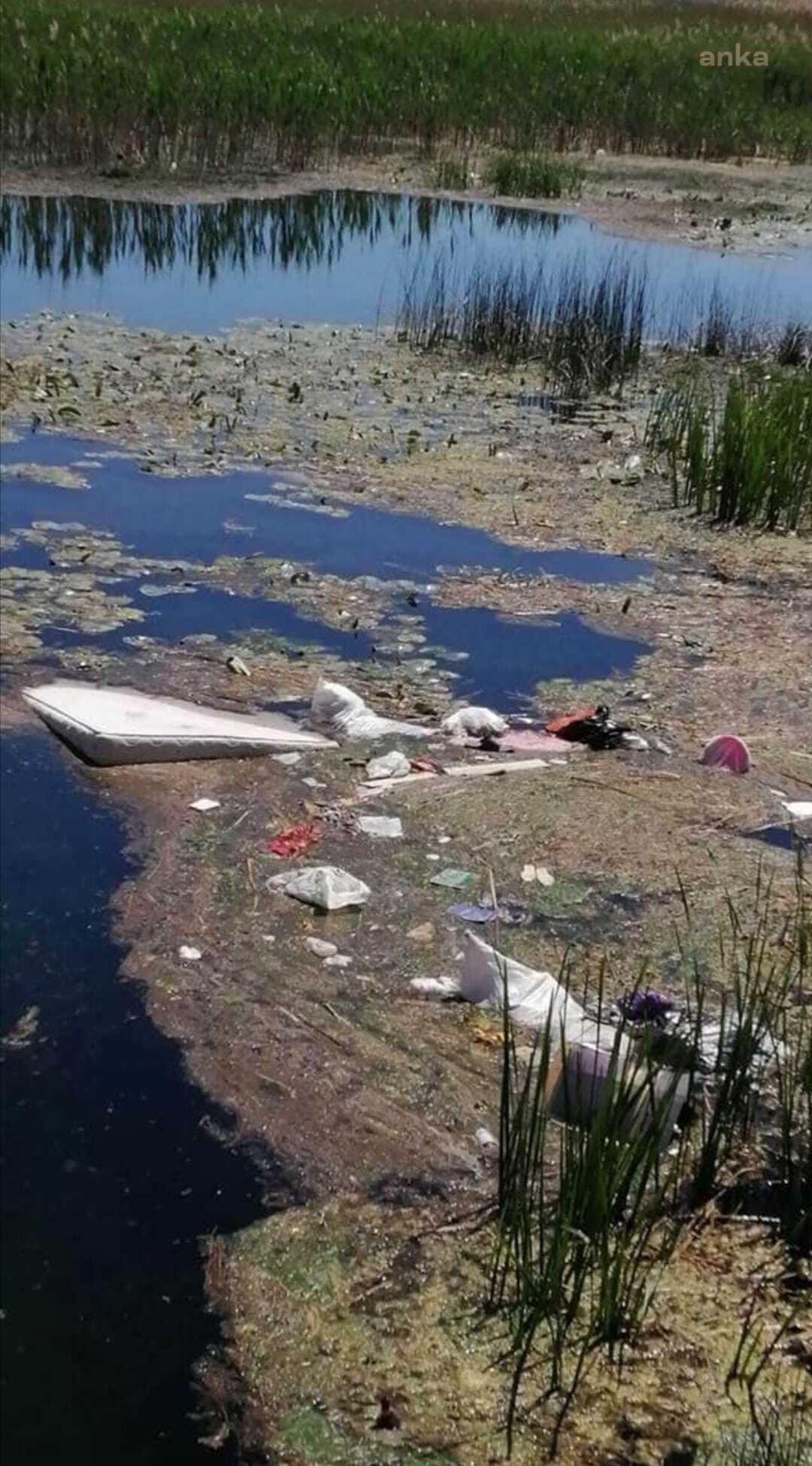"EĞİRDİR GÖLÜ YETERLİ EKİPMAN OLMADIĞI İÇİN TEMİZLENEMİYOR"