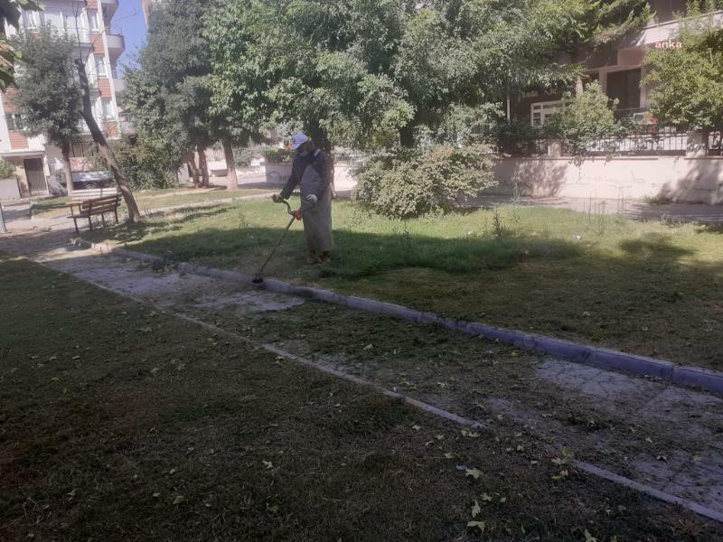 SÖKE’NİN MERKEZ VE ÇEVRE MAHALLELERİNDE TEMİZLİK ÇALIŞMALARI SÜRÜYOR