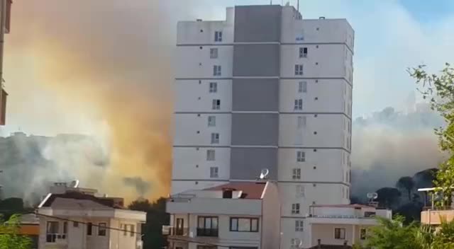MALTEPE'DE BİR HASTANE YAKININDAKİ ORMANLIK ALANDA YANGIN ÇIKTI