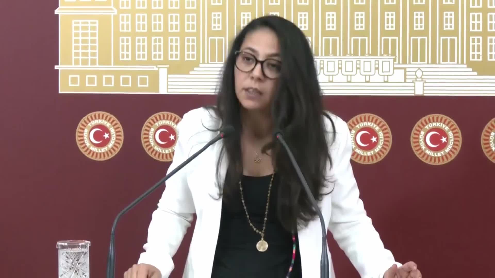 SERA KADIGİL: “BÖLGEDEKİ SON YAŞLI VE DOĞAL ÇAM ORMANLARINI LİMAK VE İÇTAŞ HOLDİNG ORTAKLIĞINDA MADEN ÇIKARTILABİLSİN DİYE KATLETMEYE ANT İÇMİŞ BİR İKTİDAR TARAFINDAN YÖNETİLİYORUZ”