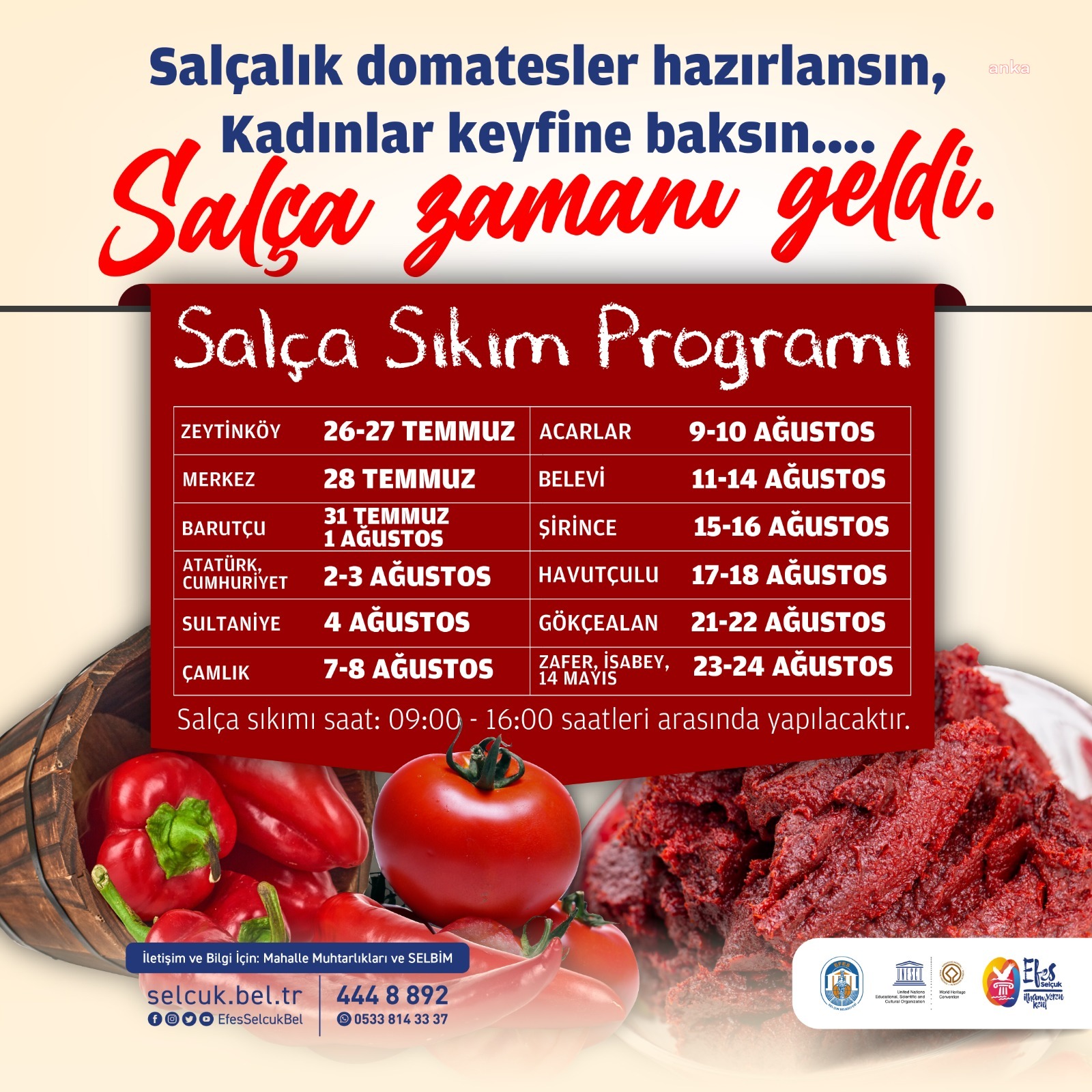 EFES SELÇUK’TA SALÇA ZAMANI GELDİ