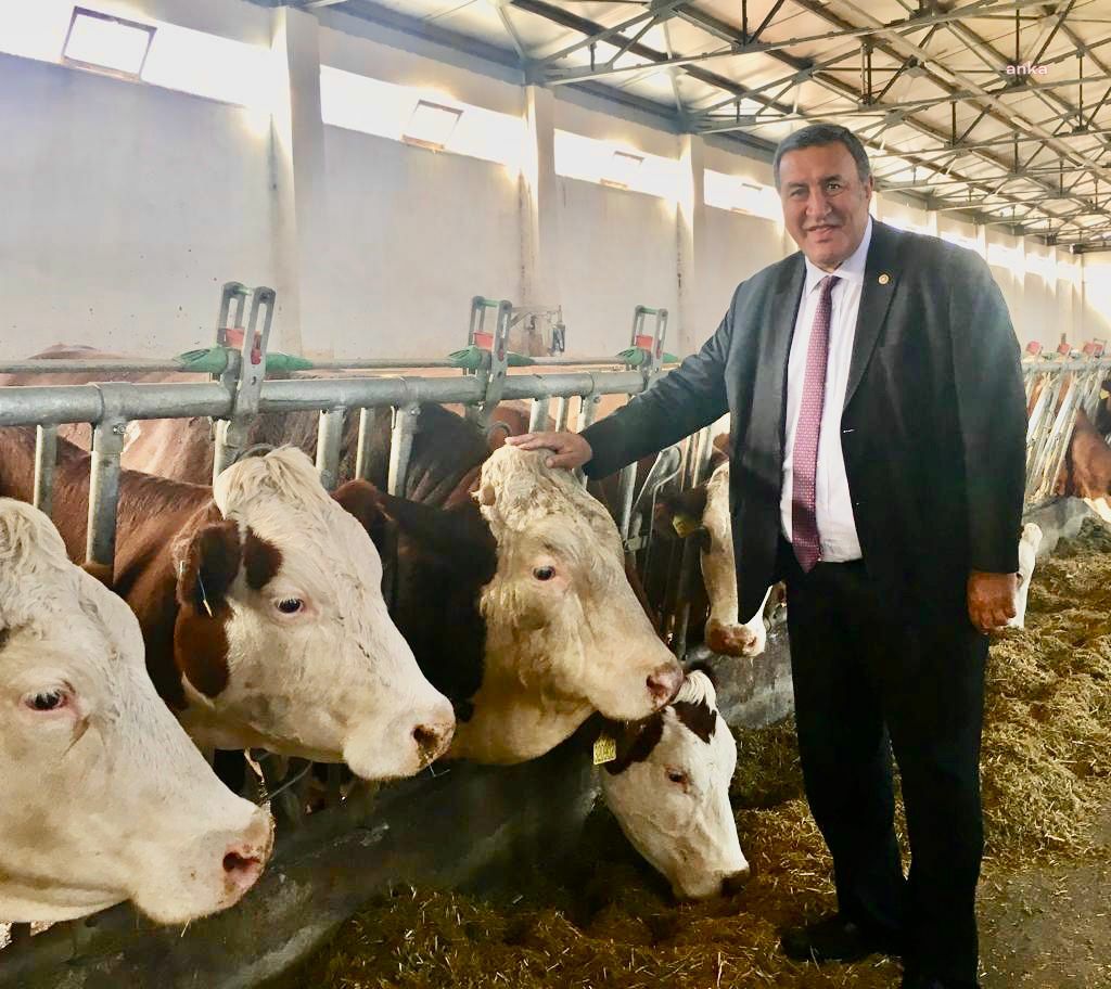 CHP’Lİ ÖMER FETHİ GÜRER VETERİNER HEKİMLERİN HAKLARI İÇİN KANUN TEKLİFİ VERDİ