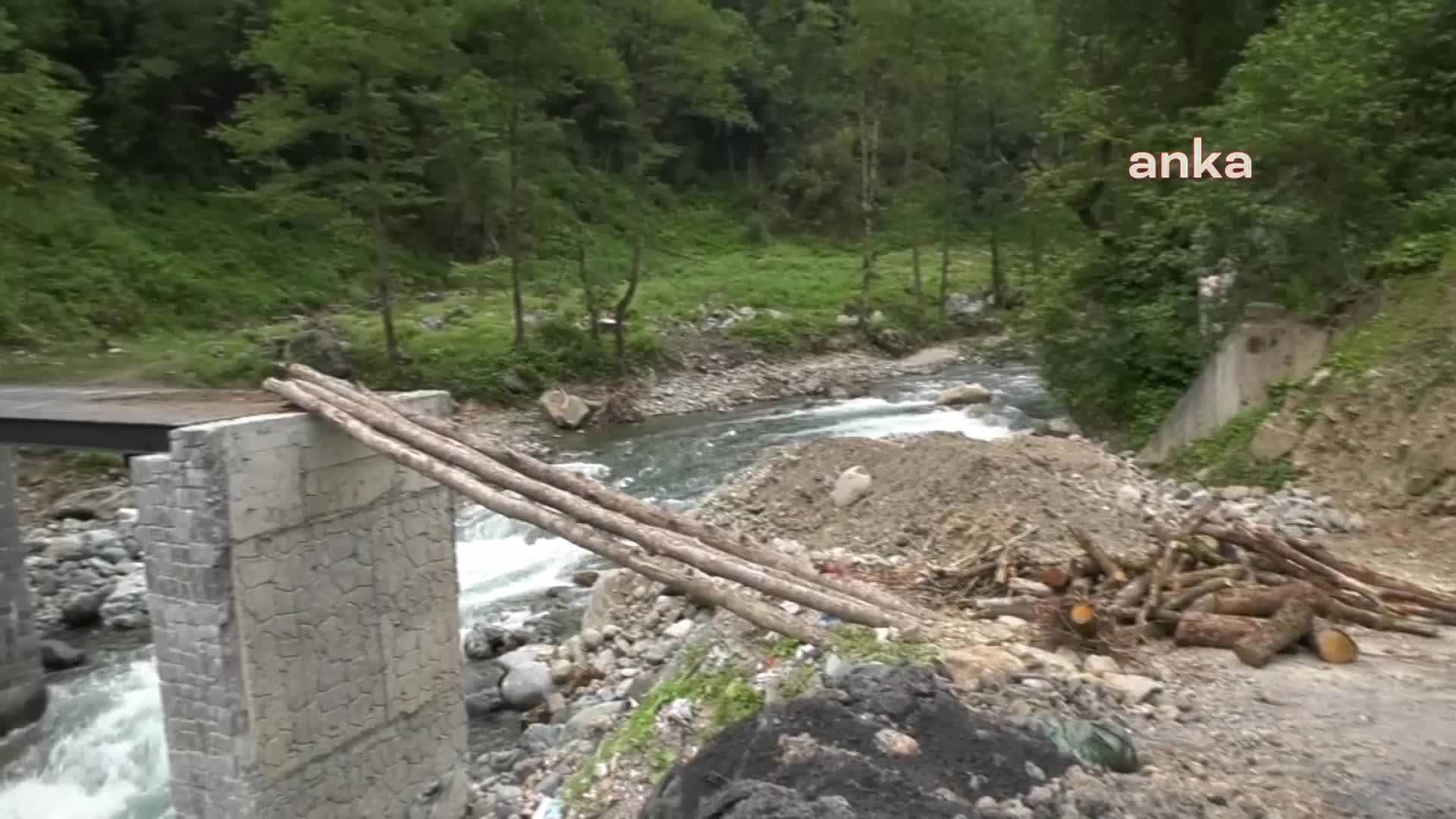 RİZE’NİN AKP'Lİ ÇAMLIHEMŞİN BELEDİYESİ'NİN MİLLET BAHÇESİ YAPMAK İÇİN ZİLKALE VADİSİNDE AĞAÇ KESİMİNE BAŞLAMASI TEPKİ ÇEKTİ