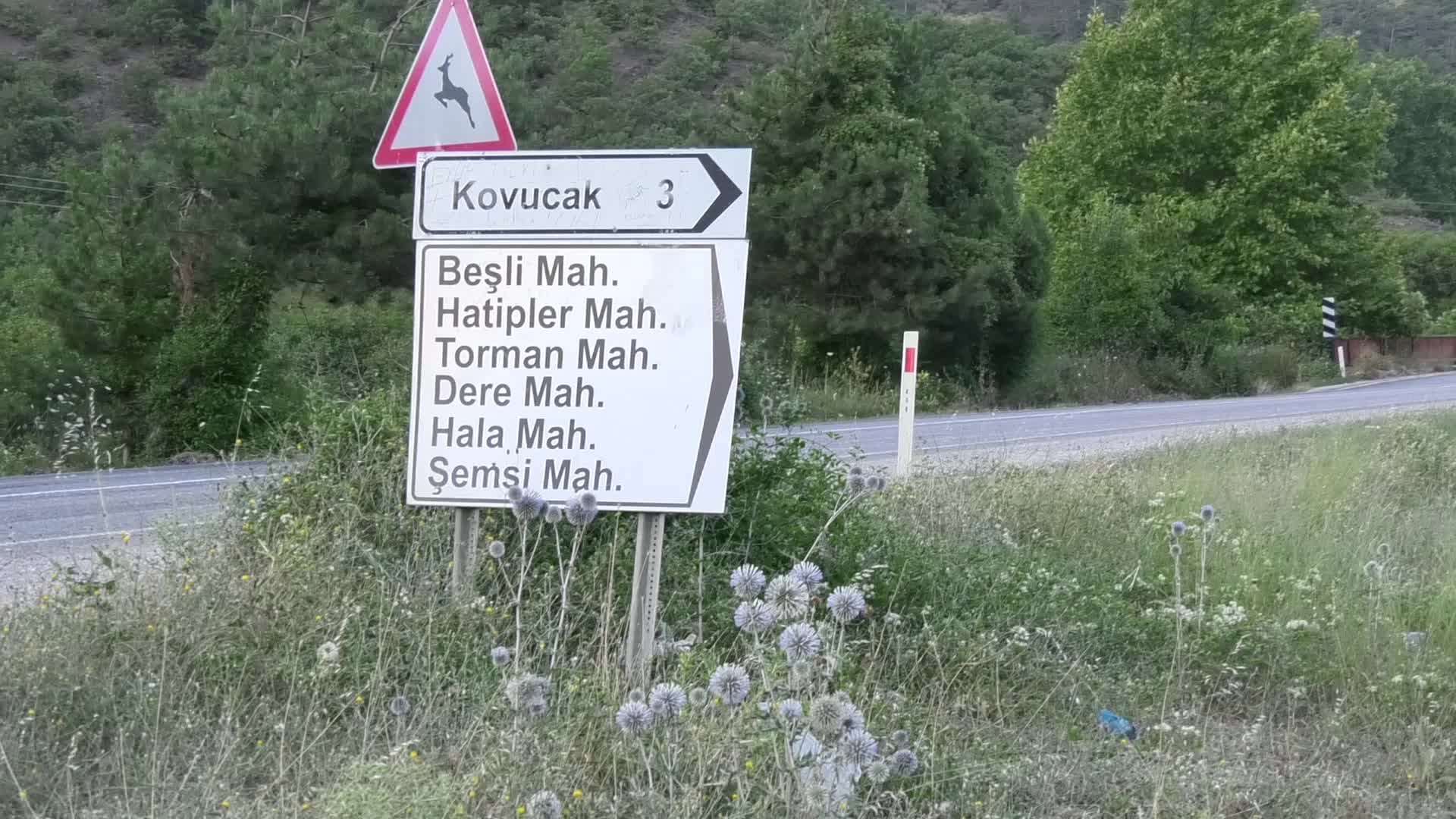 BOLU’DA, ADLİ BİR SORUŞTURMA KAPSAMINDA İKİ AYDIR KAZI ÇALIŞMASI YÜRÜTÜLÜYOR
