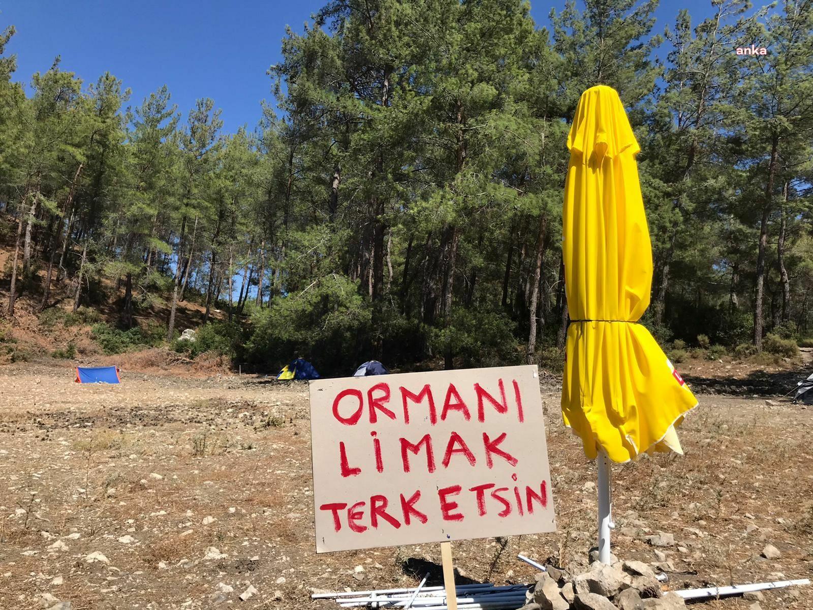 MUĞLA VALİLİĞİ, AKBELEN’DEKİ AĞAÇ KESİMİNİN TAMAMLANDIĞINI AÇIKLADI