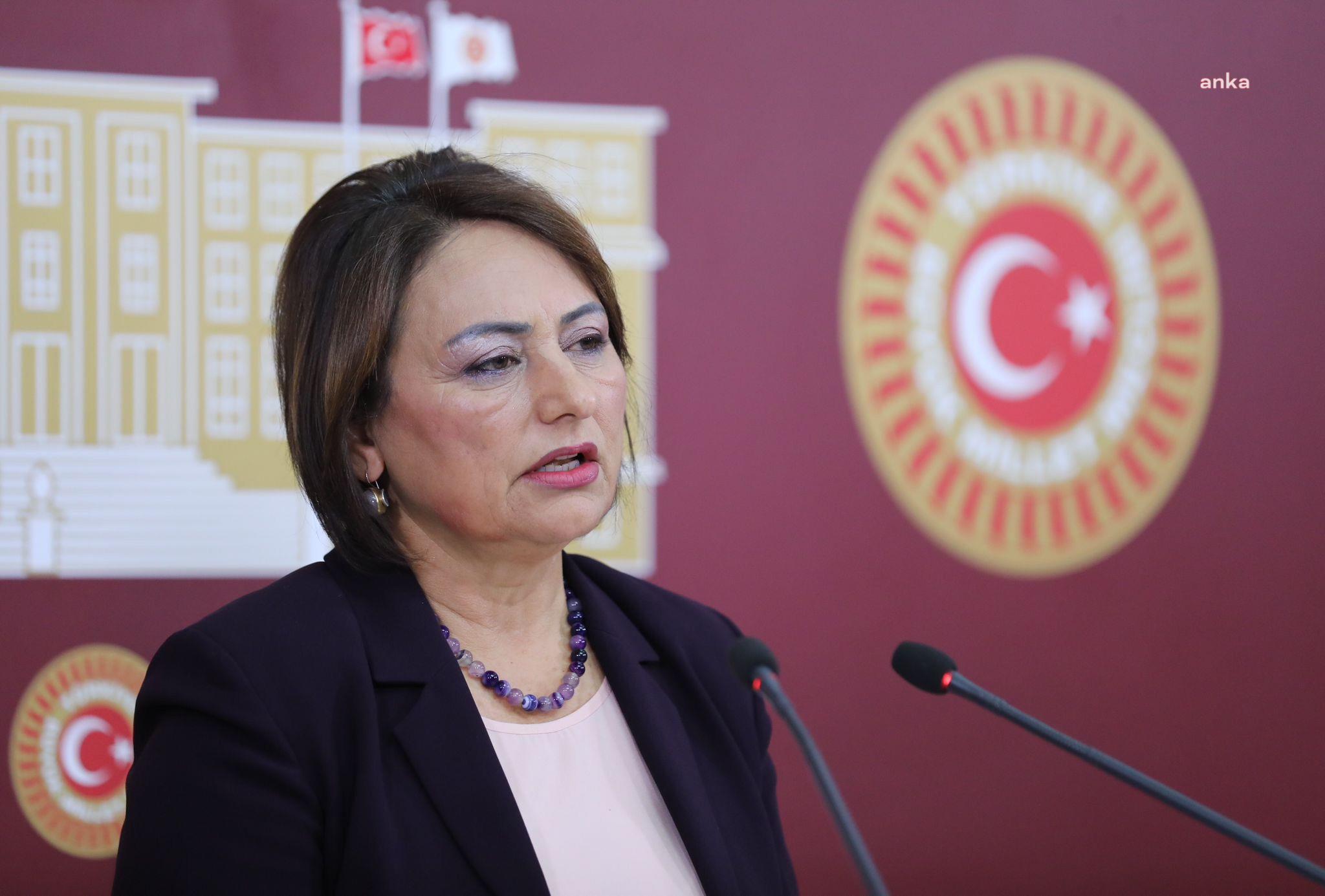 MÜZEYYEN ŞEVKİN'DEN BİREYSEL SİLAHLANMA İÇİN ARAŞTIRMA ÖNERGESİ