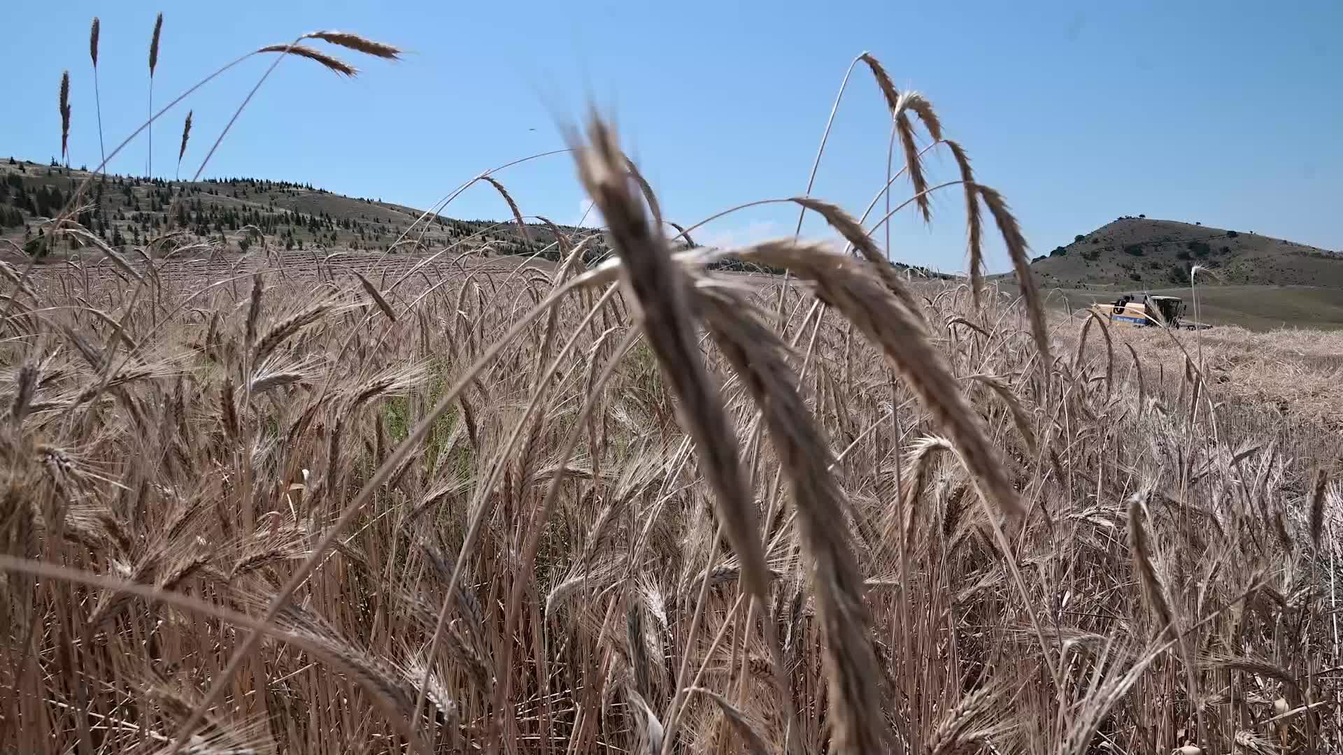 YOZGAT ZİRAAT ODASI BAŞKANI AÇIKGÖZ: "2024 YILI ÜRETİM SEZONU HÜSRAN GEÇECEK"