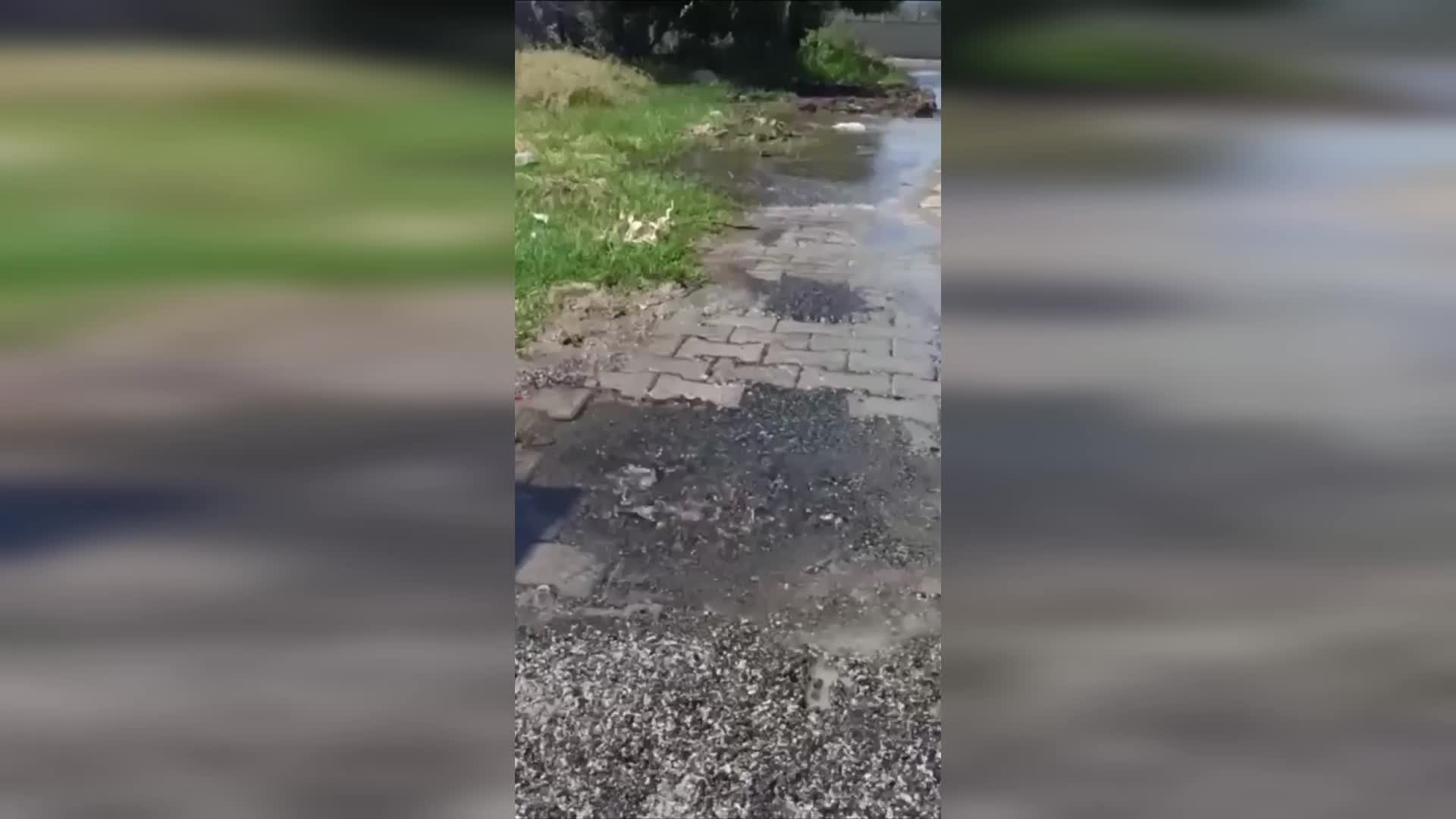 OSMANİYE' DE PATLAYAN İÇME SUYU BORUSUNUN 1 HAFTADIR YAPILMAMASINA MAHALLE SAKİNLERİ TEPKİ GÖSTERDİ