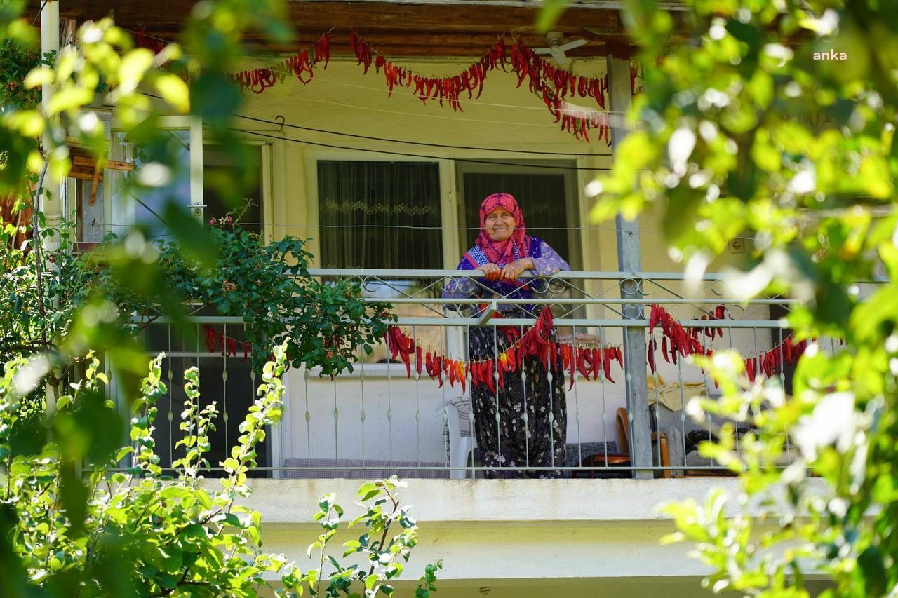 BİLECİK BELEDİYESİ DALAKDERE’Yİ EKOLOJİK OLARAK CANLANDIRDI