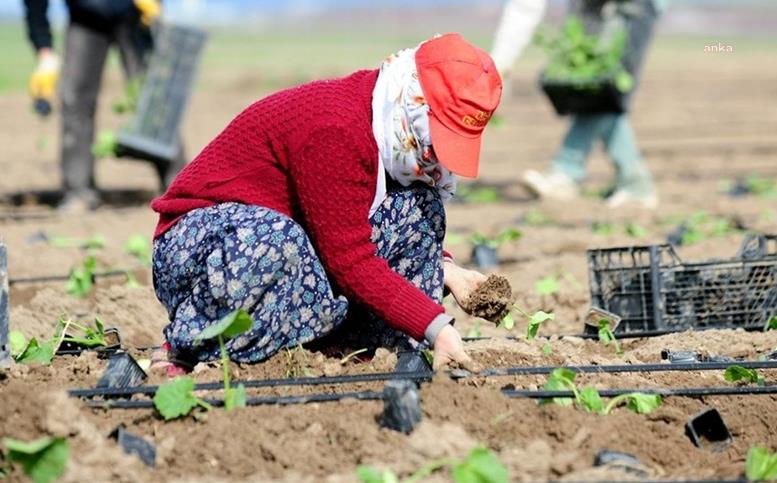 TÜİK: ÜRETİCİ FİYATLARI TEMMUZDA YÜZDE 8,23 ARTTI