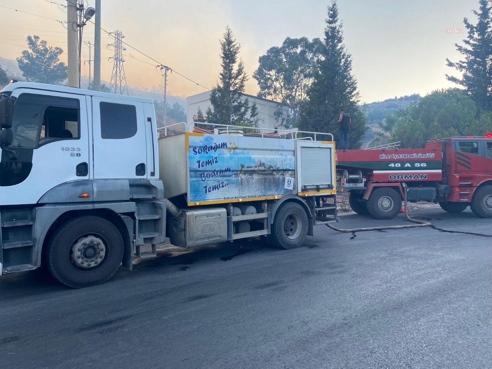 BODRUM BELEDİYESİ’NDEN YABAN HAYVANLARININ YAŞAM ALANLARINA SU TAKVİYESİ