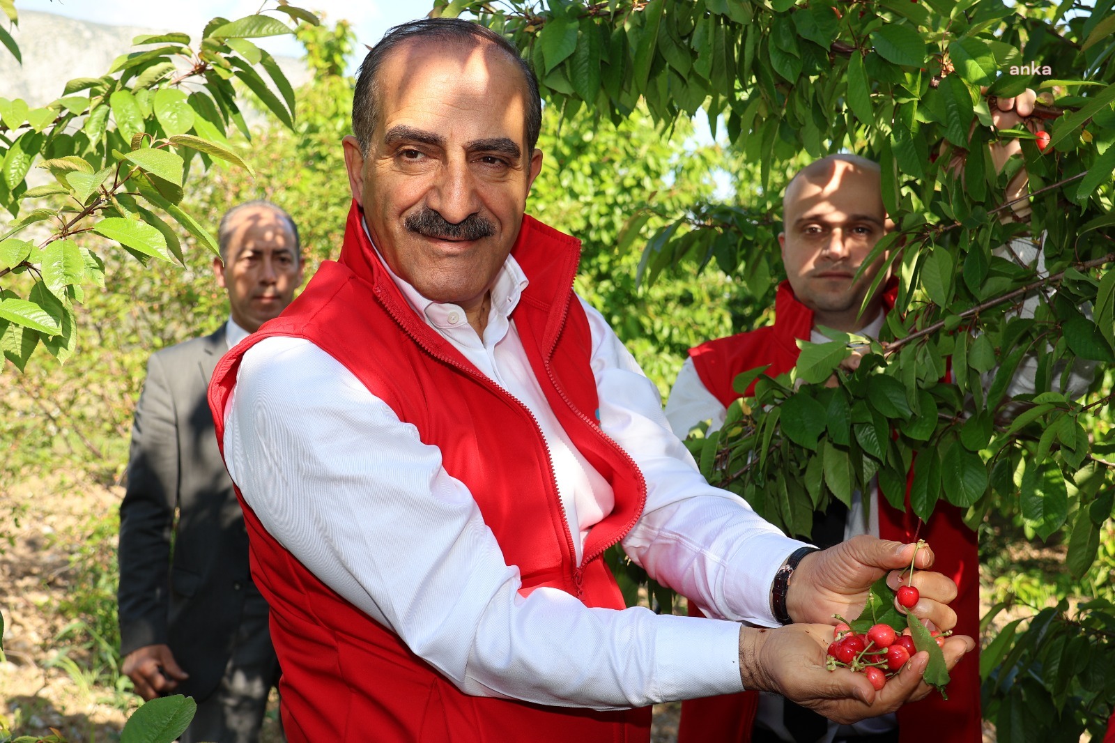 KİRAZDA REKOR YILI: 205 MİLYON DOLARA ULAŞTI