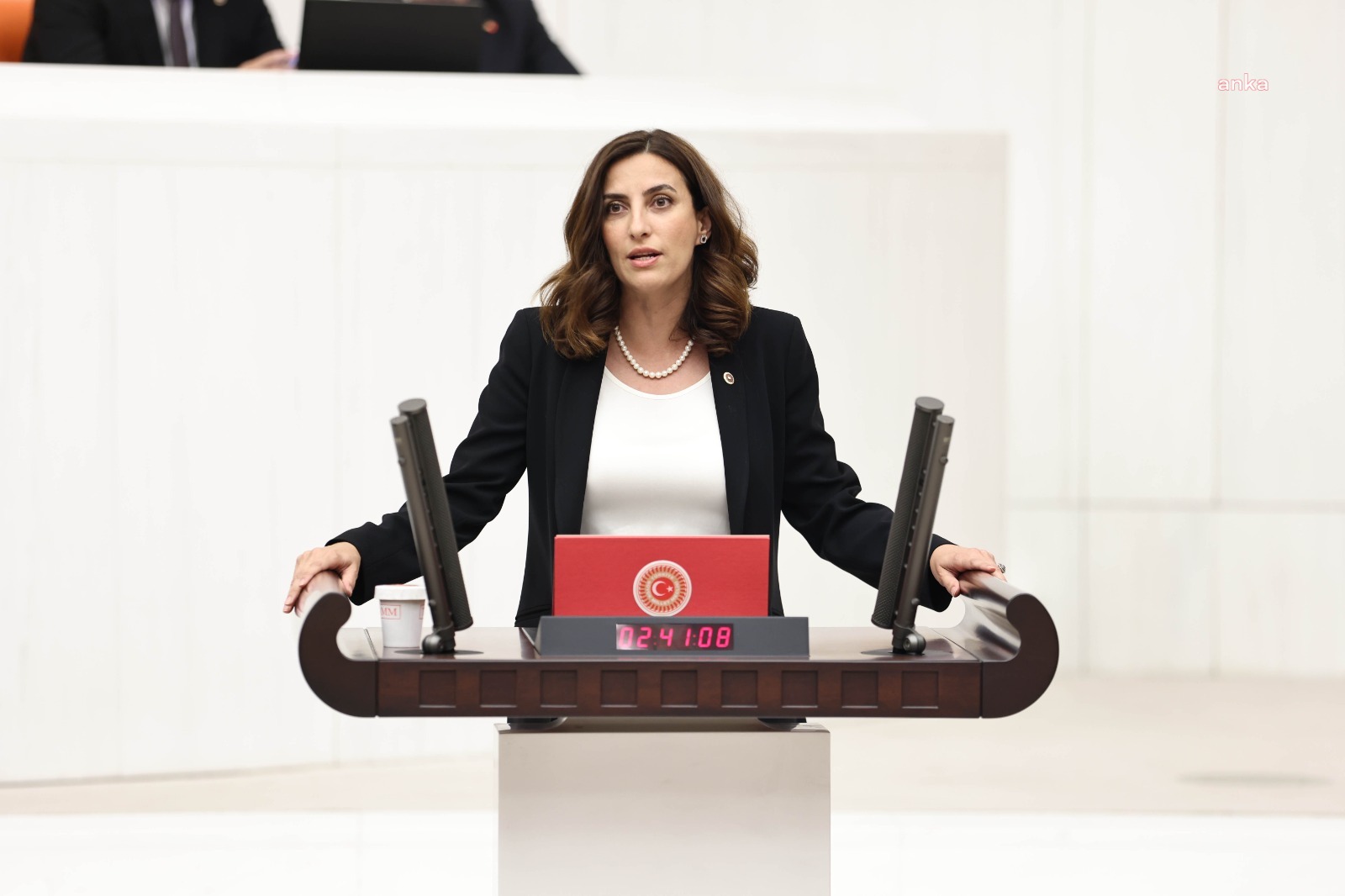 DEVA PARTİSİ GENEL BAŞKAN YARDIMCISI EVRİM RIZVANOĞLU: "BİZ AKBELEN'İ BİR VATANSEVERLİK MESELESİ OLARAK GÖRÜYORUZ"