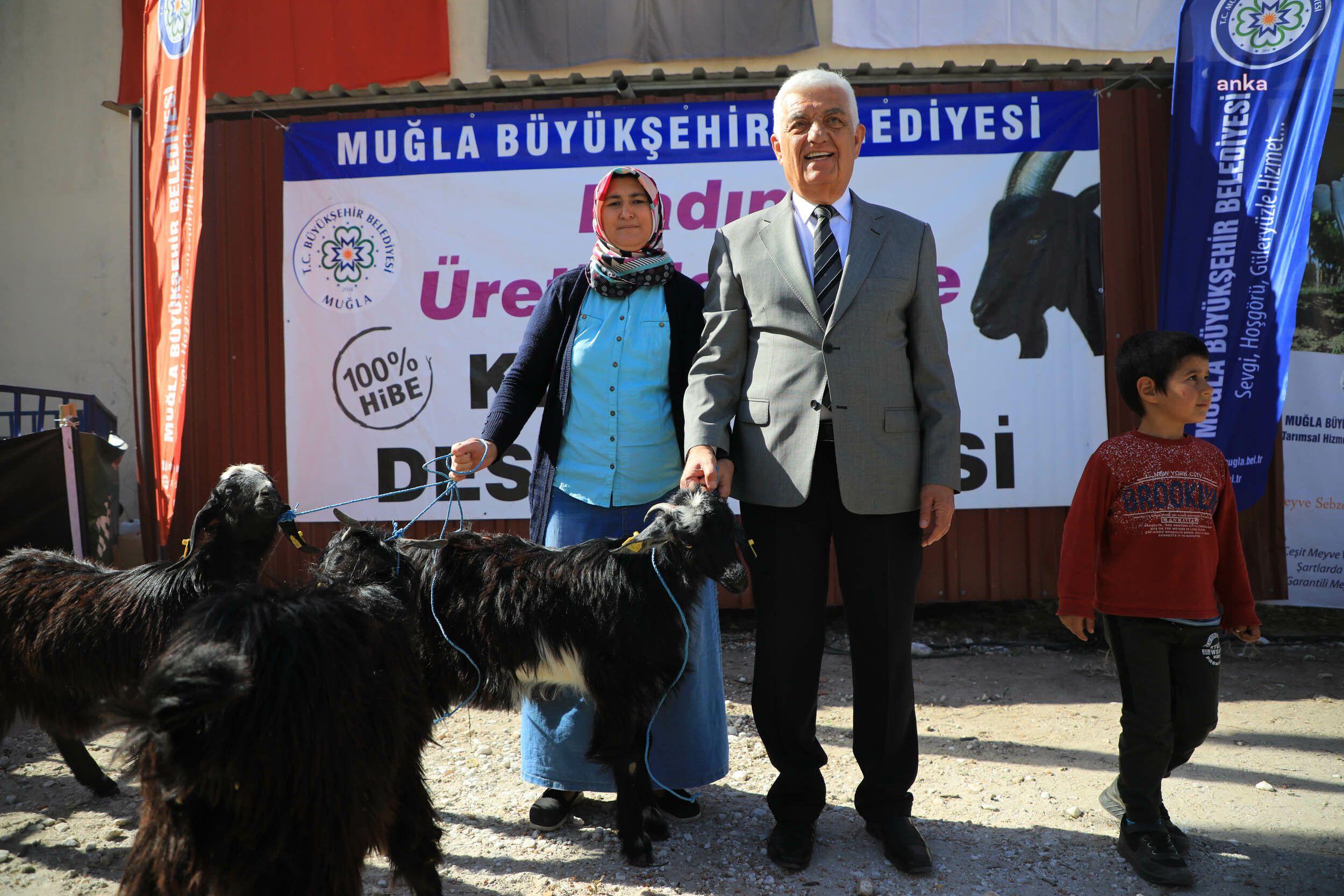 MUĞLA BÜYÜKŞEHİR’İN KIL KEÇİSİ DESTEĞİ ÜÇ İLÇEDE DEVAM EDİYOR