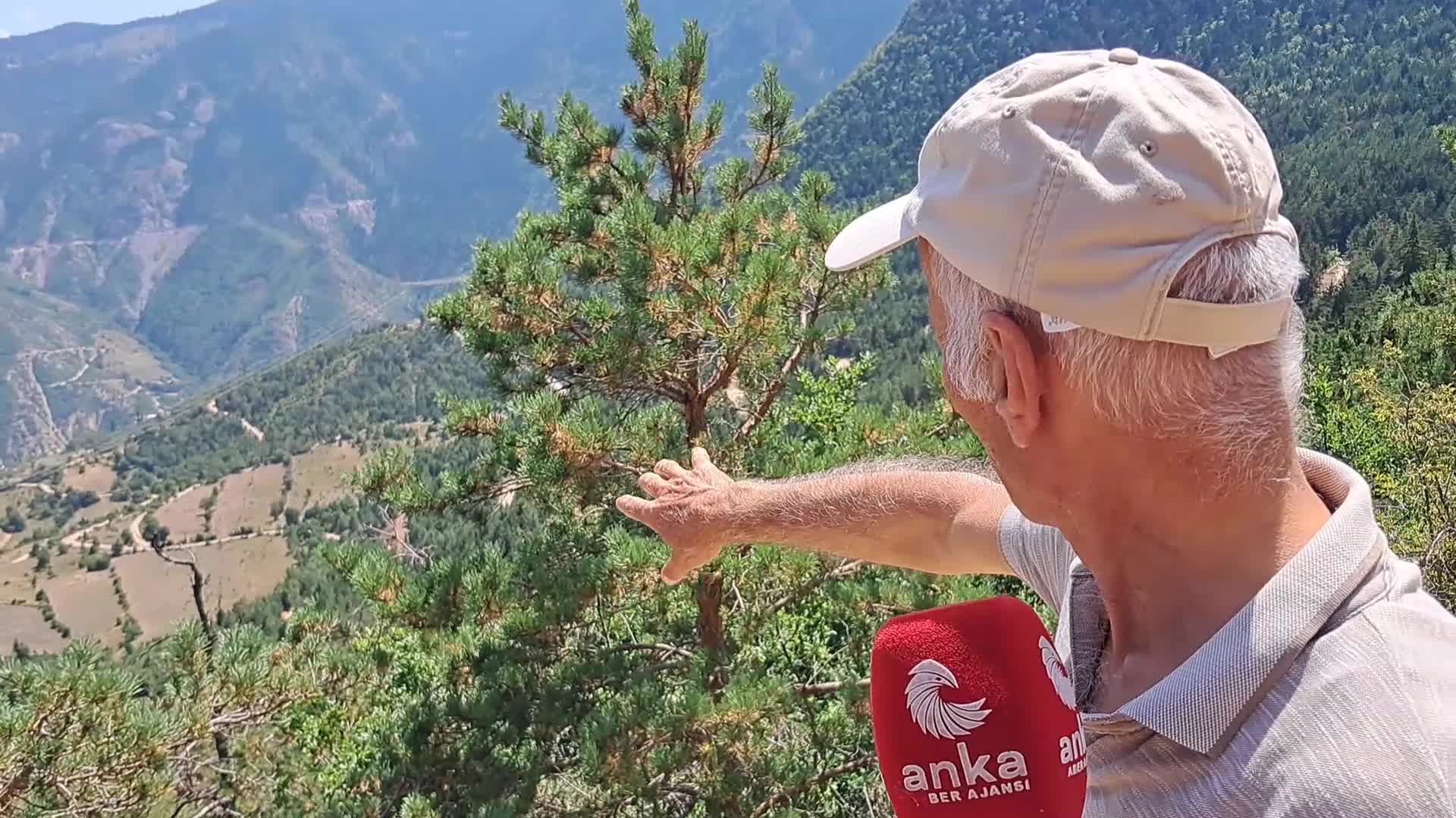 ARTVİN'İN ÜÇ KÖYÜNDE ALTIN MADENİ ÇALIŞMASI… BAZI ARAZİLERİN ŞÜPHELİ BİR ŞEKİLDE SATILDIĞINA DİKKAT ÇEKEN VATANDAŞ: “KÖYDE BİLEN BİRİ BİLE YOK NASIL SATILDIĞINI ARAZİNİN”