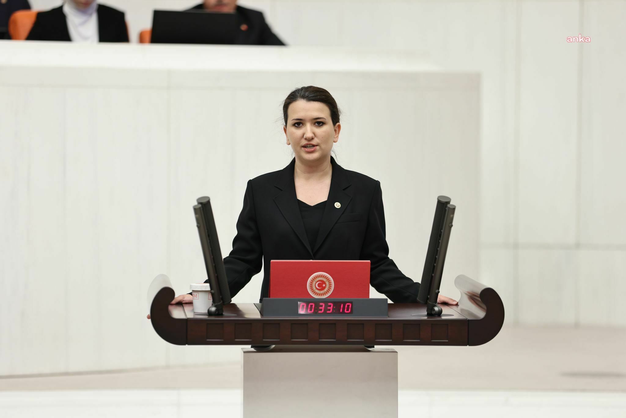 GÖKÇEN: “KORUMA KARARI UYGULANMIŞ OLSAYDI EZGİ ZERKİN ÖLDÜRÜLMEYECEKTİ. EZGİ ZERKİN’İN KATİLİ DERHAL BULUNSUN. BURADAN AİLE BAKANI’NA GÖREVİNİ HATIRLATIYORUM. FAİLLERİN TARAFINI TUTMAYA VE KADIN CİNAYETLERİYLE İLGİLİ SESSİZLİĞE SON VERİN”