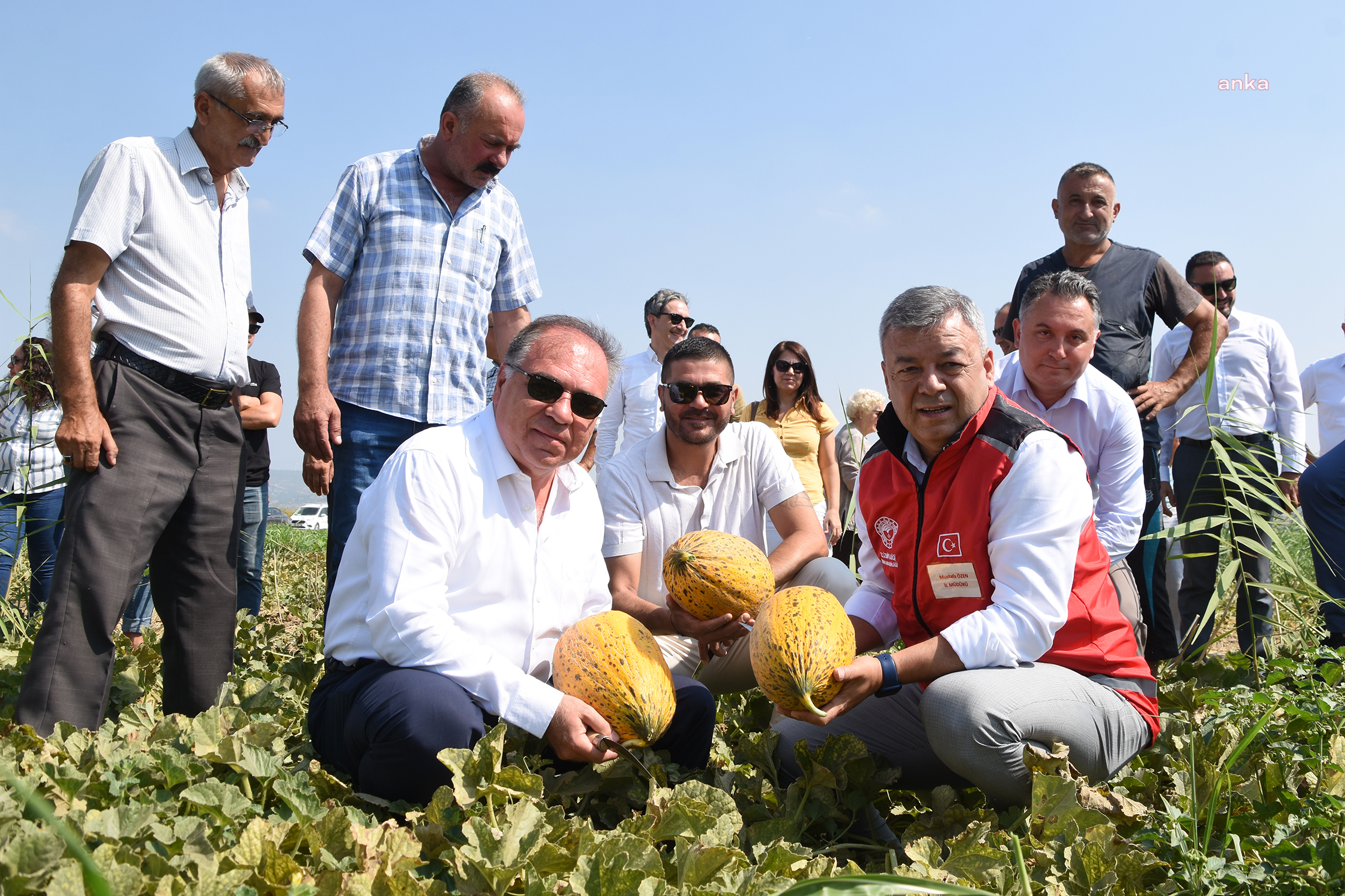 FOÇA GERENKÖY’DE ‘KAVUN HASAT ŞENLİĞİ’ DÜZENLENDİ