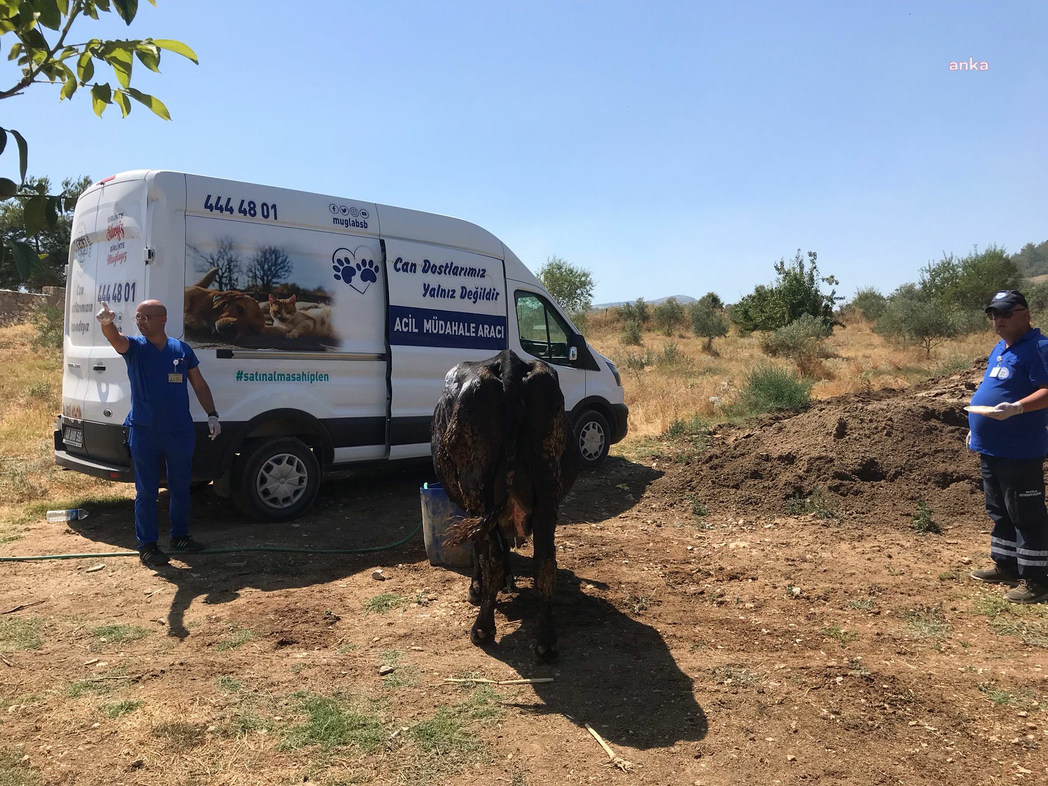 MUĞLA BÜYÜKŞEHİR BELEDİYESİ’NİN ACİL MÜDAHALE ARACI İLE YANGINDAN ETKİLENEN HAYVANLARA MÜDAHALE