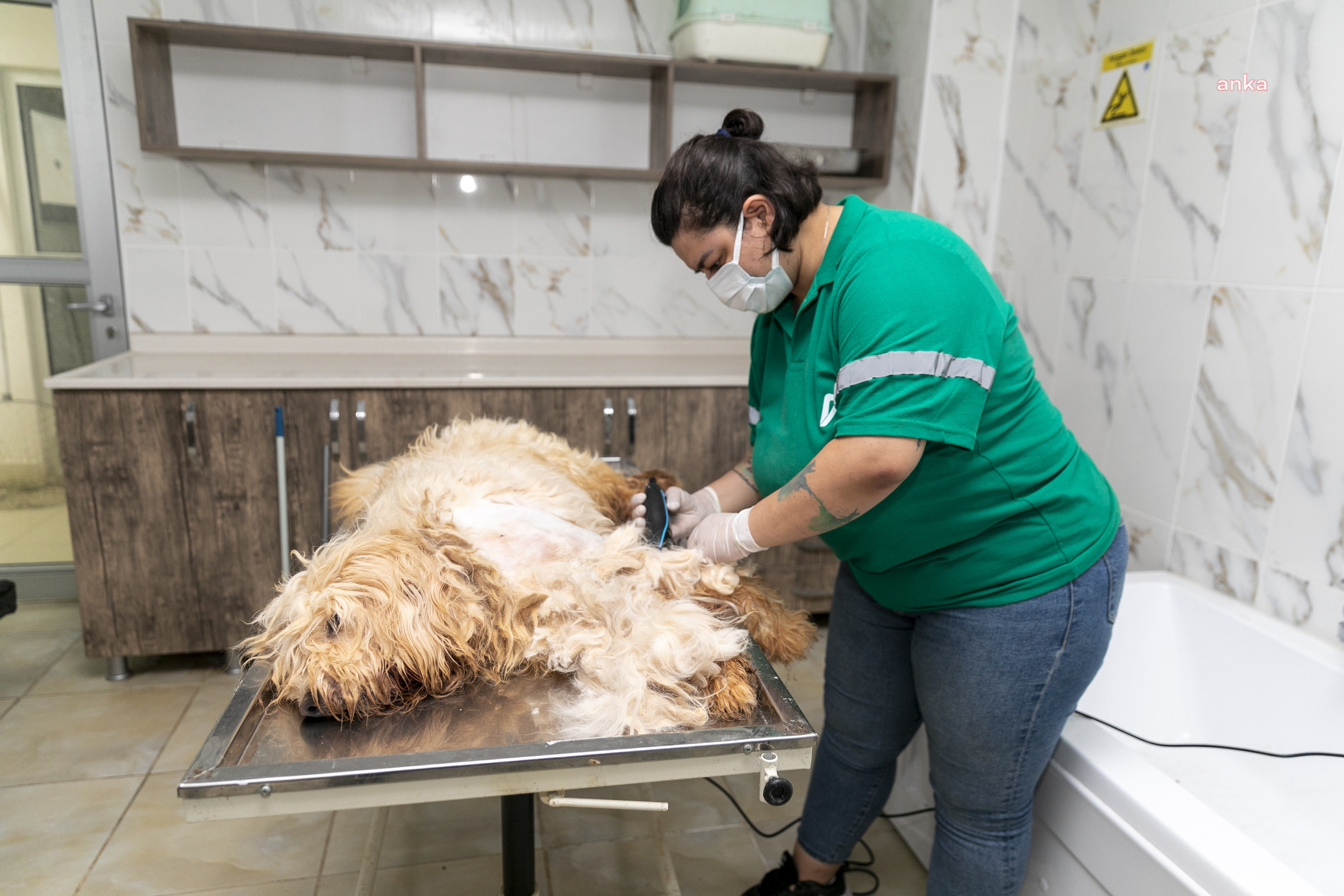 MERSİN BÜYÜKŞEHİR BELEDİYESİ’NDEN PATİLİ DOSTLARIN SAĞLIĞI VE KONFORU İÇİN ‘PET KUAFÖR’ HİZMETİ