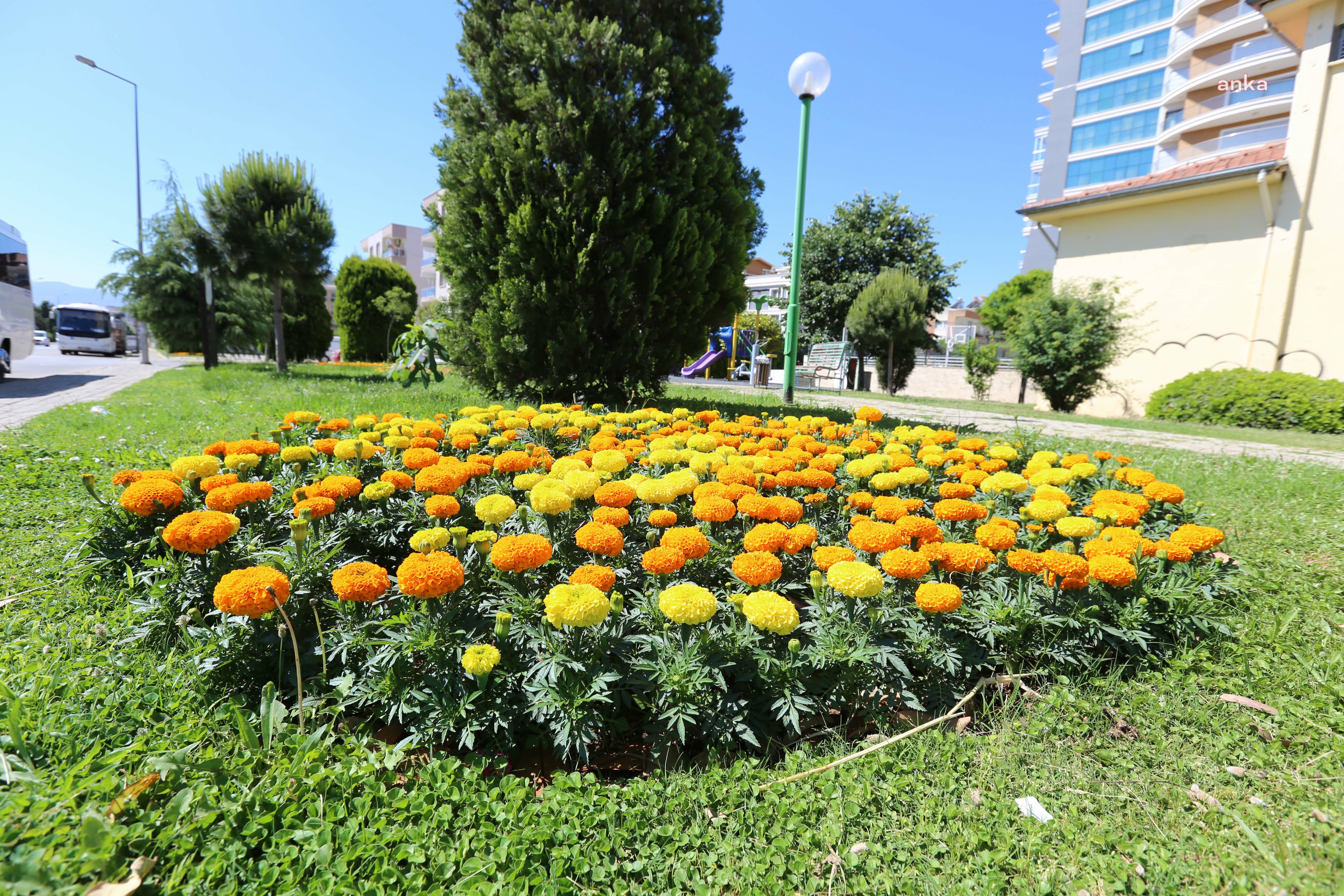 EFELER BELEDİYESİ, SON 4 YILDA KENTİN ÇEHRESİNİ DEĞİŞTİRDİ