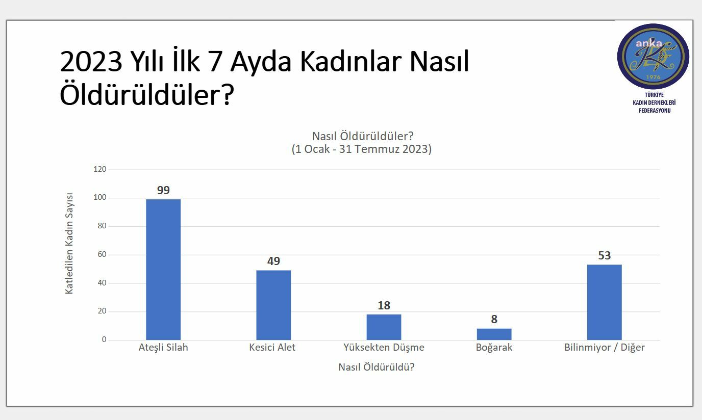 TÜRKİYE KADIN DERNEKLERİ FEDERASYONU'NUN TEMMUZ AYI RAPORU: YILIN İLK 7 AYINDA 227 KADIN ÖLDÜRÜLDÜ