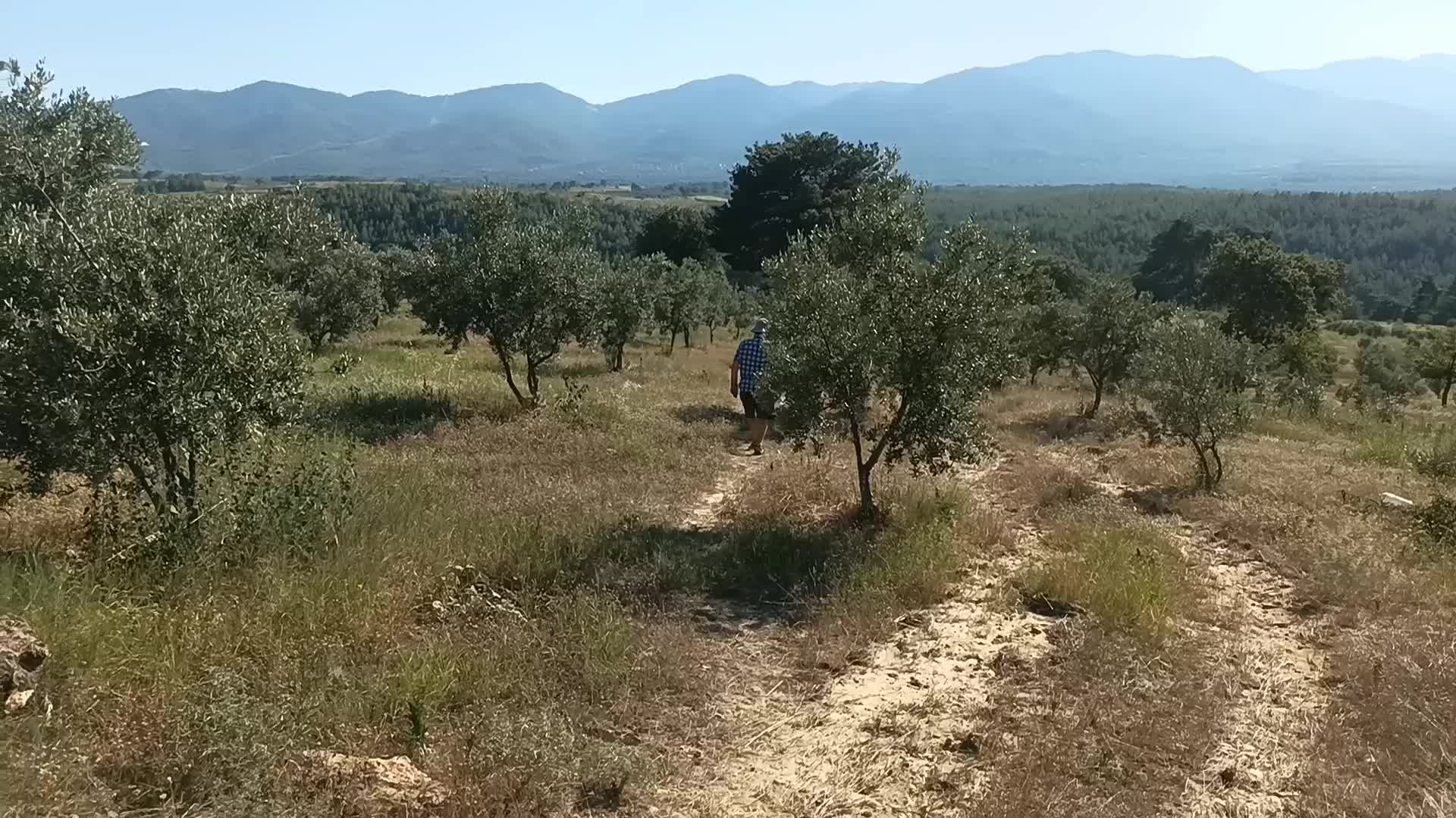 KARACASU'DA GÜBRE TANKI ÇALINAN ÇİFTÇİ TEPKİ GÖSTERDİ: "HEM MALİYETLERDEN HEM HIRSIZLARDAN DERTLİYİZ"