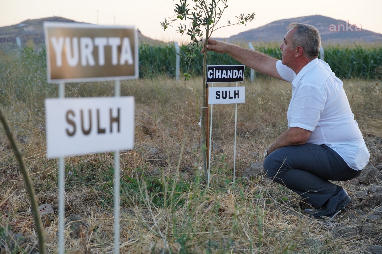 DÜNYA BARIŞINA 2 FİDAN: “YURTTA SULH CİHANDA SULH”