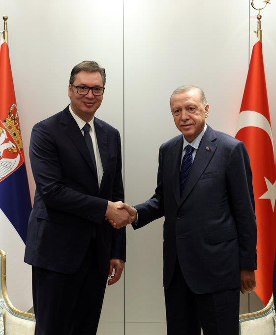ERDOĞAN, MACARİSTAN'DA SIRBİSTAN CUMHURBAŞKANI ALEKSANDAR VUCİC İLE GÖRÜŞTÜ