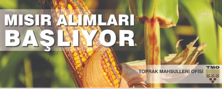 TOPRAK MAHSULLERİ MISIR TABAN FİYATINI TON BAŞINA 6 BİN TL OLARAK AÇIKLADI