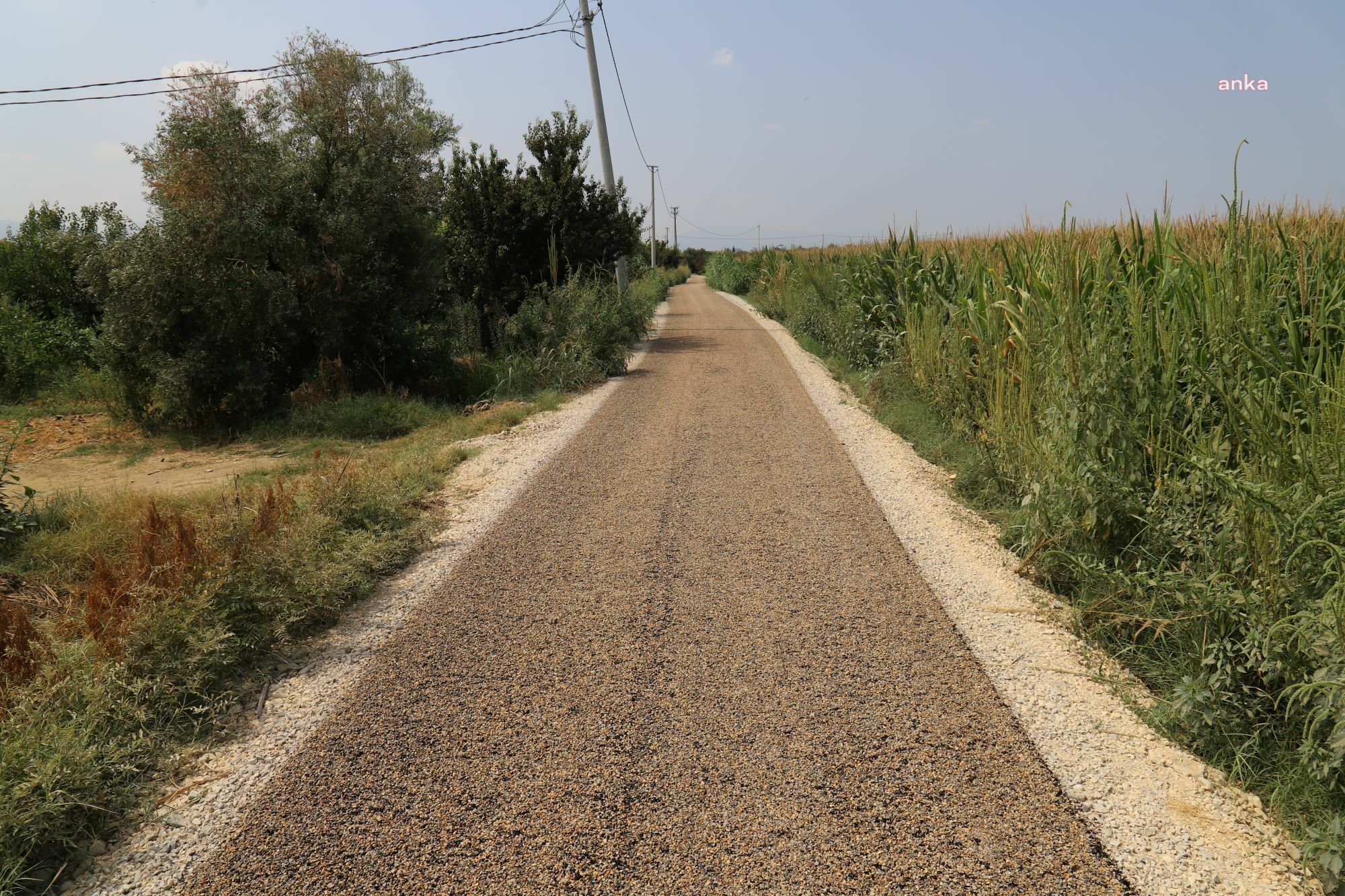 TURGUTLU BELEDİYESİ’NDEN 2023 ASFALTLAMA ÇALIŞMALARINA 30 MİLYON TL’LİK YATIRIM