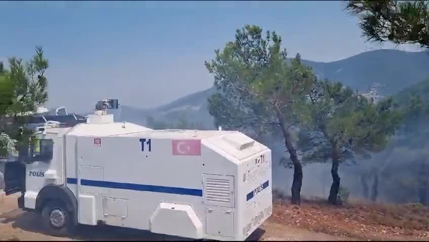 ALİ YERLİKAYA'DAN ÇANAKKALE'DEKİ ORMAN YANGINIYLA İLGİLİ AÇIKLAMA: “TOPLAM BİN 428 VATANDAŞIMIZ TEDBİR AMAÇLI TAHLİYE EDİLMİŞTİR. ÇANAKKALE BOĞAZI ÇİFT TARAFLI DENİZ ULAŞIMINA KAPANMIŞTIR”