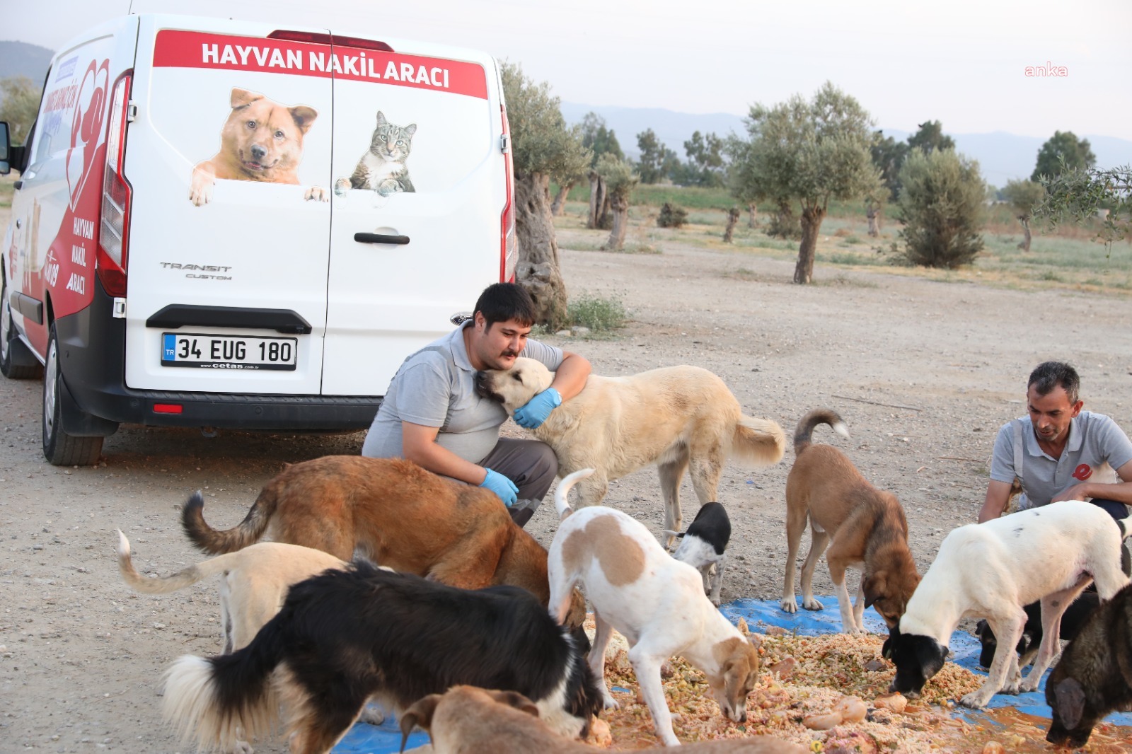 EFELER BELEDİYESİ CAN DOSTLARI BESLERKEN İSRAFI DA ÖNLÜYOR