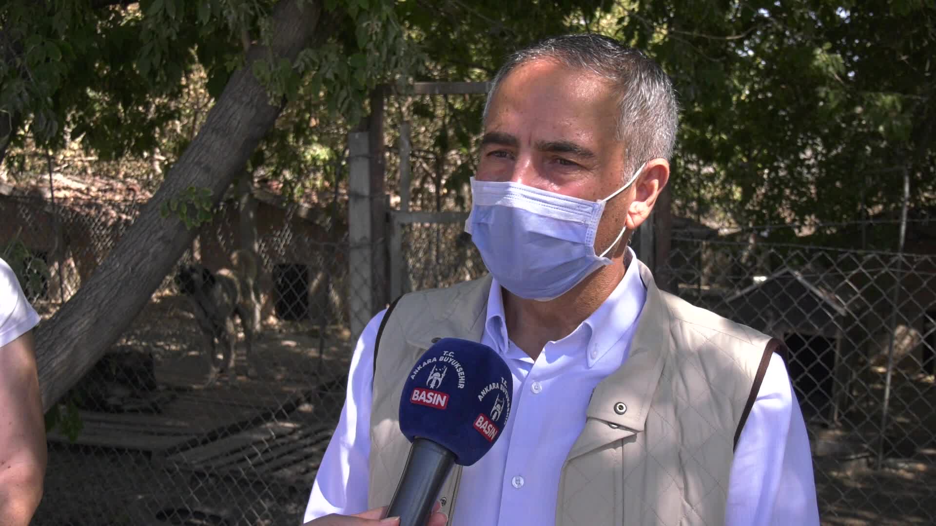 ANKARA BÜYÜKŞEHİR BELEDİYESİ’NDEN 3 BİN SOKAK HAYVANI İÇİN YENİ BARINAK