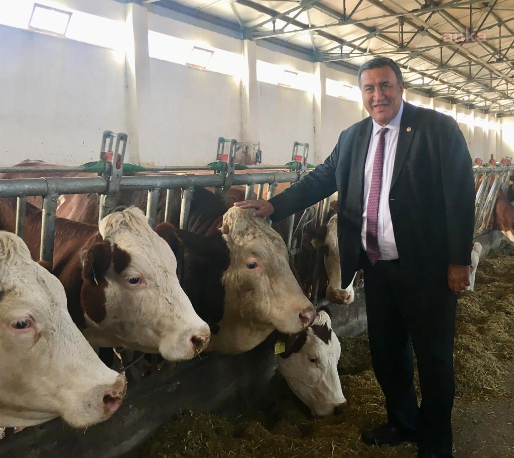 CHP'Lİ GÜRER: HAYVAN AŞILARINDA YAŞANAN SKANDALLAR  İÇİN ÖNLEMLER ALINDI MI?