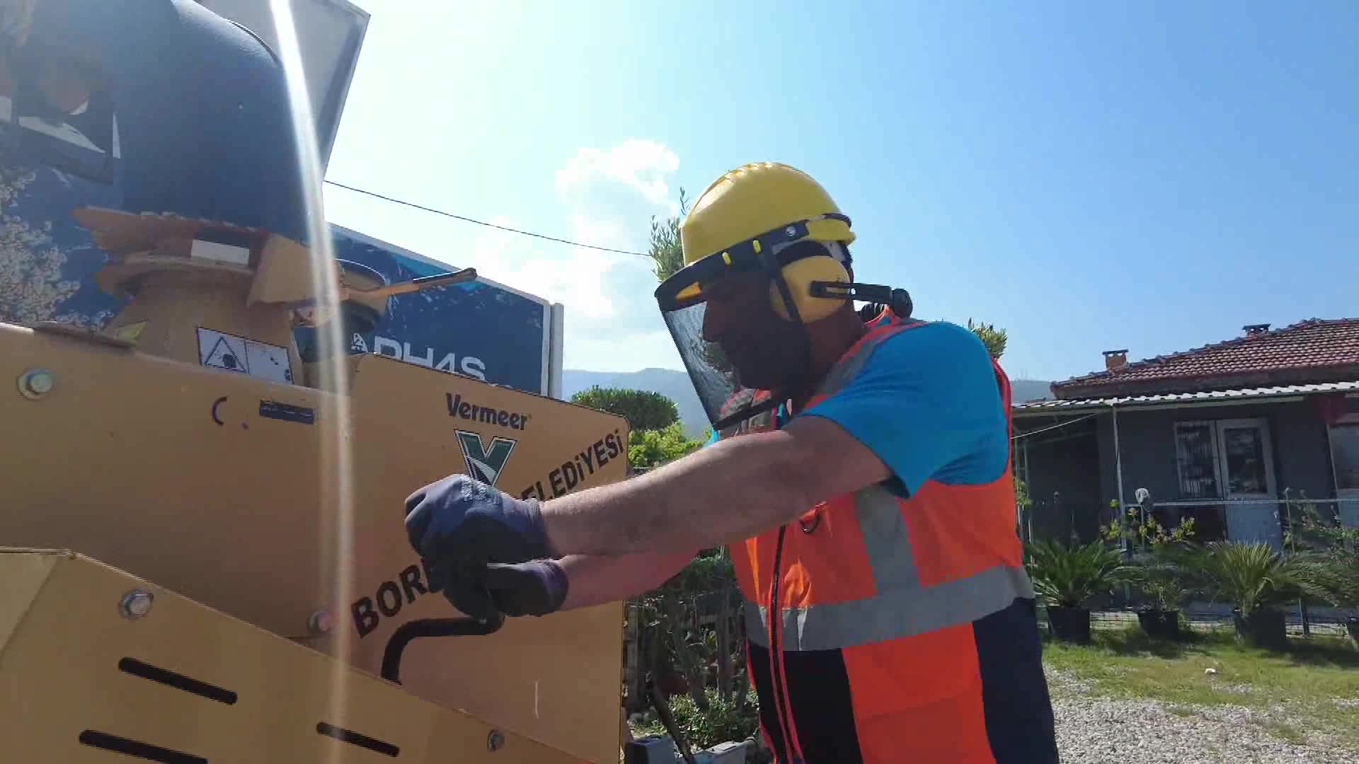 BORNOVA’DA BUDANAN DALLAR YENİ BİTKİLERE CAN VERİYOR