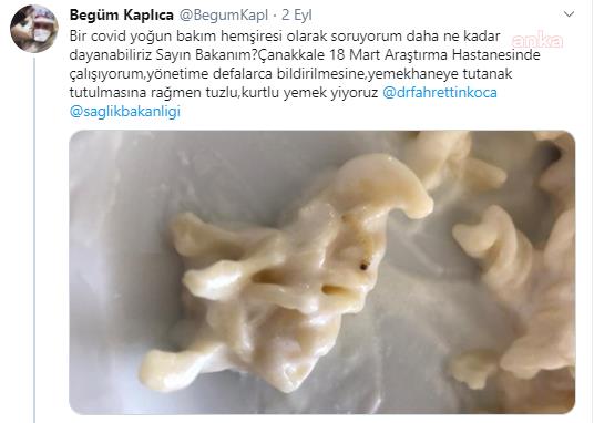 COVİD YOĞUN BAKIM HEMŞİRESİ :"SAĞLIK EMEKÇİLERİNE KURTLU YEMEK VERİLİYOR"
