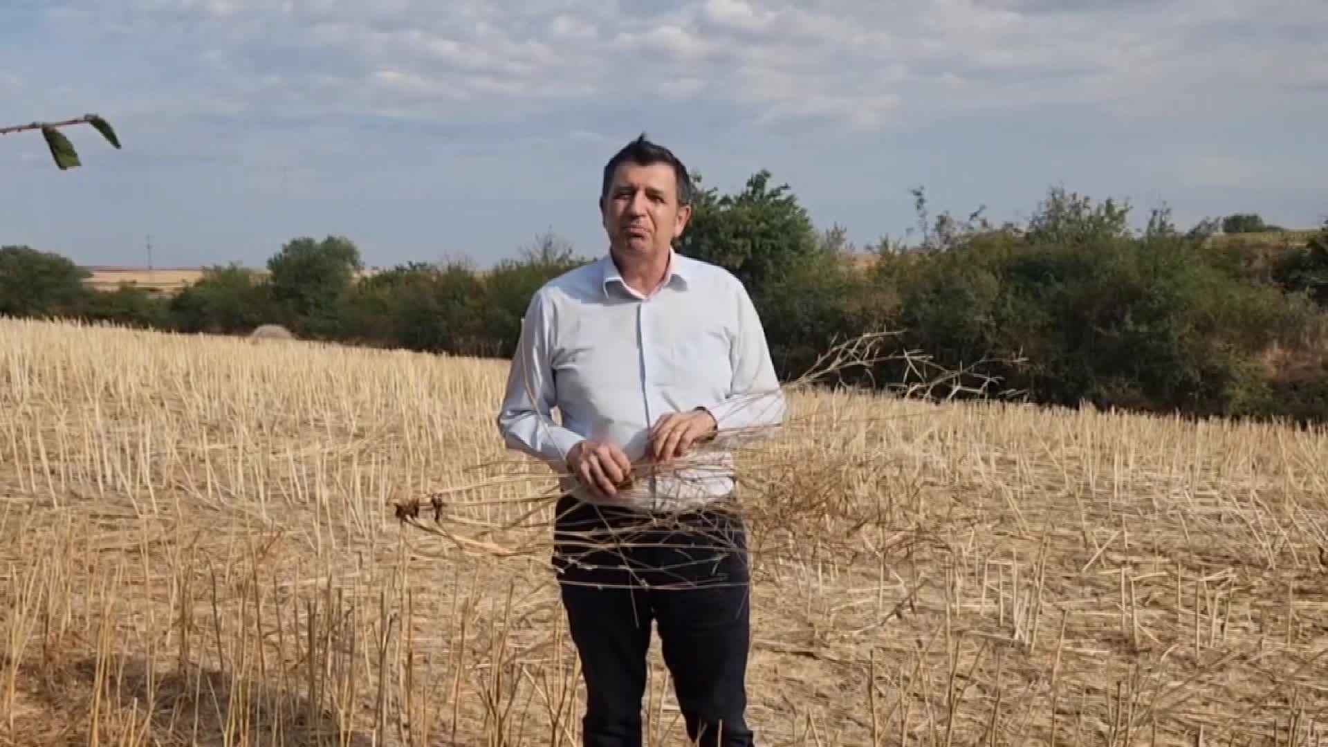 OKAN GAYTANCIOĞLU: “ÜRETİCİ KANOLA EKMEKTEN VAZGEÇTİ”