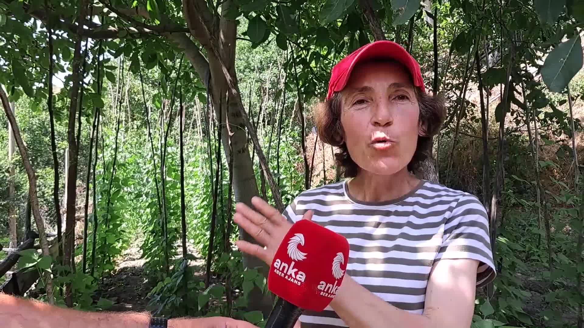 ARTVİN'DE YAPILMASI PLANLANAN ALTIN MADENİ İŞLETMESİNE KARŞI ÇIKAN OKUMUŞLAR KÖYÜ SAKİNİ SERPİL ALKAN: “BEN BURADA DOĞDUM VE BURADA YAŞIYORUM VE KİMSE BENİ BURADAN TAŞINMAYA MECBUR ETMESİN”