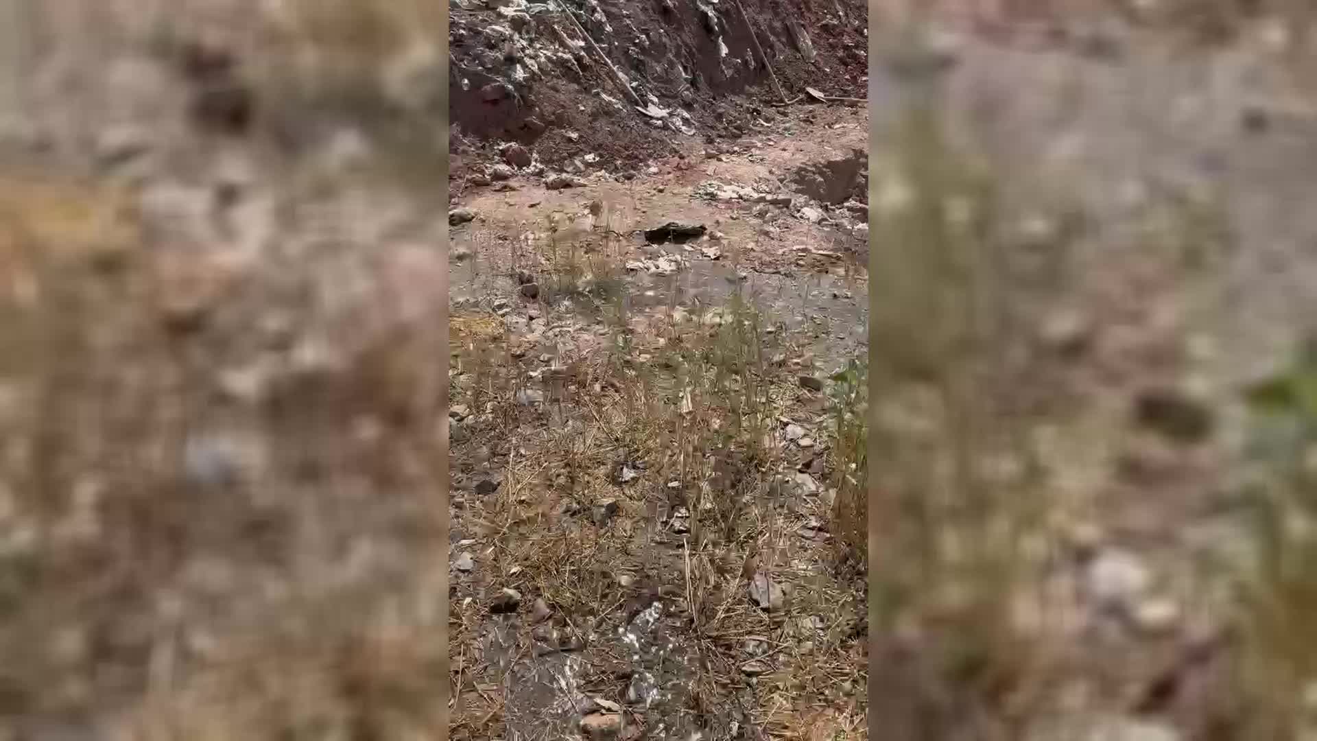 ULAŞ KARASU, 30 SOKAK HAYVANININ YÜKSEK DOZDA ZEHİR VERİLEREK KATLEDİLDİĞİ İDDİASINI MECLİS'E TAŞIDI: “ZEHİRLENEN HAYVANLAR, ONLARI ZEHİRLEYENLER VE OLAYLA İLGİLİ HERHANGİ BİR YASAL İŞLEM YAPILMIŞ MIDIR”