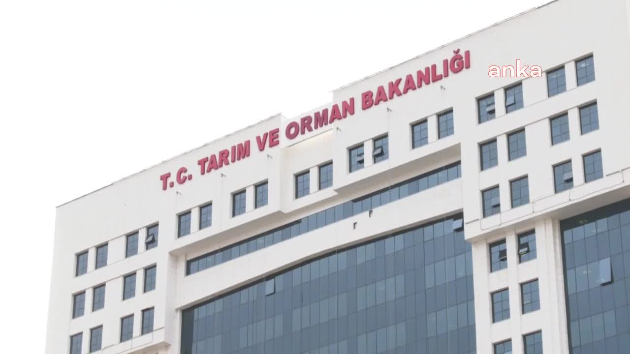 SÖZLEŞMELİ ÜRETİMİN ESAS VE USULLERİNE İLİŞKİN YÖNETMELİK ÇIKMADAN ARABULUCULUK UYGULAMASI YÜRÜRLÜĞE GİRDİ. ZMO BAŞKANI SUİÇMEZ: "BAKANLIK ÖNCE SÖZLEŞMELİ ÜRETİMİN İÇERİĞİNİ BELİRLEYEN YÖNETMELİĞİ ÇIKARMALI"