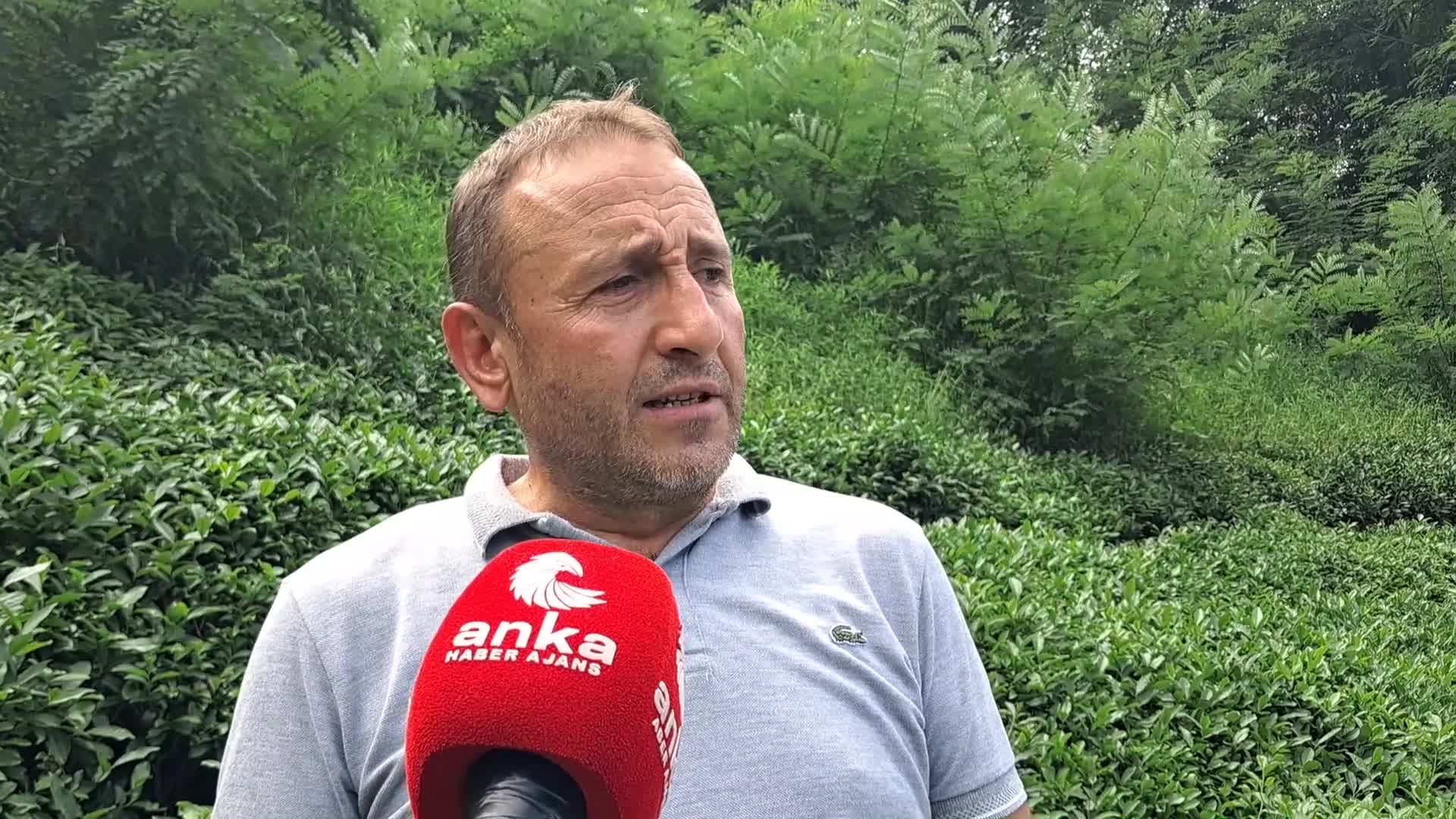 HOPA ZİRAAT ODASI BAŞKANI OLCAY MUTİ: "60 YAŞINDAKİ ÜRETİCİMİZ MAKAS SALLAYIP ÇAY TOPLUYORSA BUNUN İSMİ GEÇİM SIKINTISIDIR"