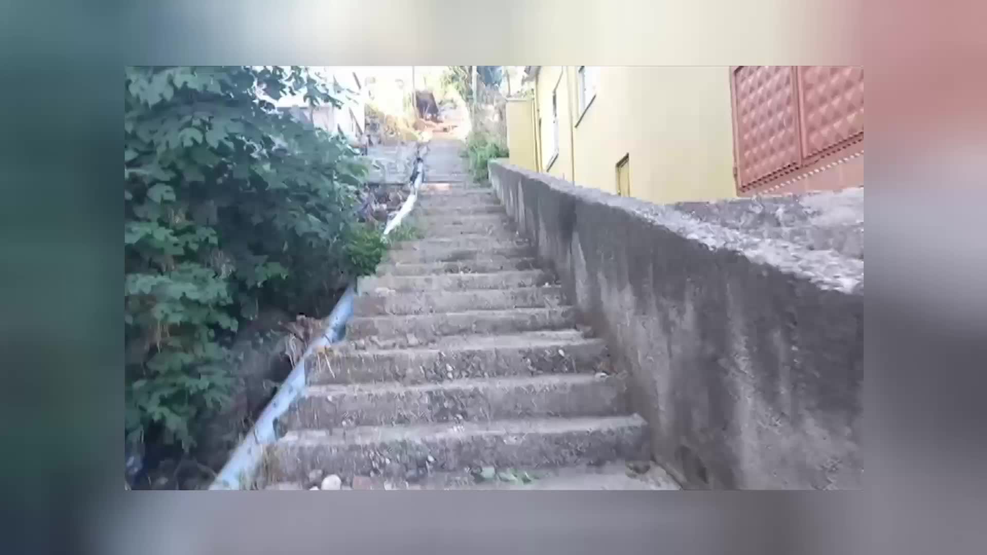 SAMSUN’UN CANİK İLÇESİNDE EVLERİNE 170 BASAMAK MERDİVEN ÇIKARAK ULAŞABİLEN VATANDAŞLAR TEPKİLİ: "CENAZEMİZİ BİLE AŞAĞI YOLDAN KALDIRIYORUZ"