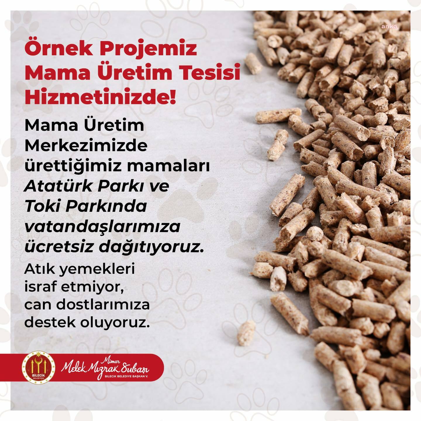 BİLECİK BELEDİYESİ'NİN ÜRETTİĞİ MAMALAR CAN DOSTLARA DAĞITILIYOR