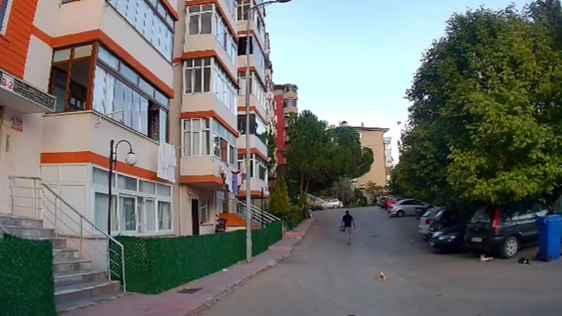 KARABÜK'TE BİR SÜRÜCÜNÜN KEDİYİ ÜZERİNDEN GEÇEREK YARALADIĞI GÖRÜNTÜLER KAMERALARA YANSIDI