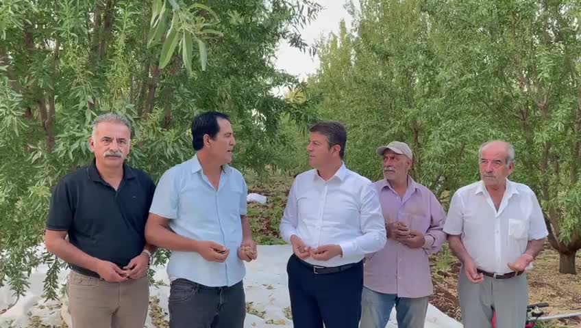 ADIYAMANLI ÜRETİCİLER, HÜKÜMETİN AÇIKLADIĞI BADEM ALIM FİYATINA TEPKİLİ: "BADEMLERİ DALDA MI BIRAKALIM TOPLAYALIM MI ARASINDA GİDİP GELİYORUZ"