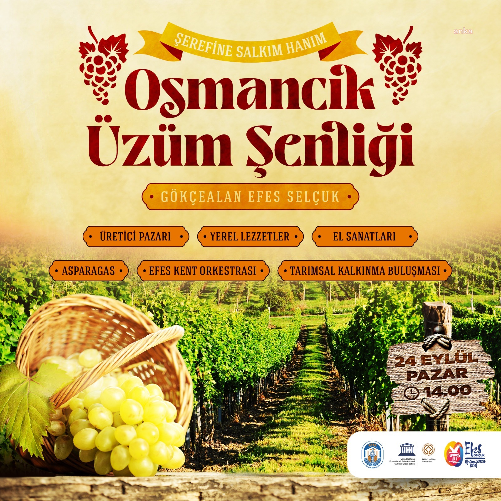 EFES SELÇUK GÖKÇEALAN’DA ÜZÜM ŞENLİĞİ BAŞLIYOR