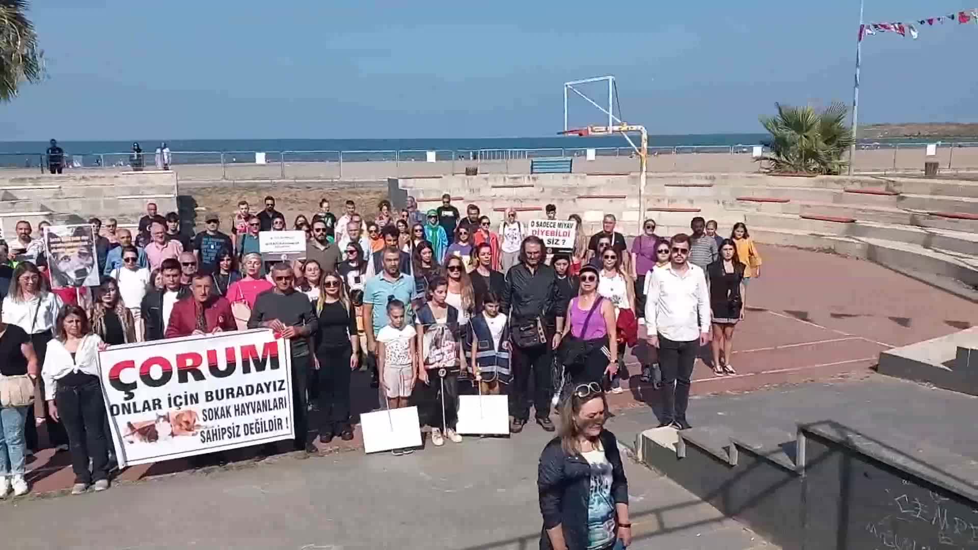 SAMSUN ATAKUM’DA 'SOKAK HAYVANLARI SAHİPSİZ DEĞİLDİR' MİTİNGİ DÜZENLENDİ