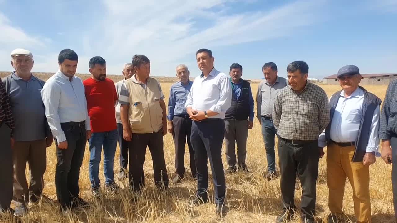 KARAMANLI ÇİFTÇİ: "KURAKLIK NEDENİYLE YÜZDE 70-80 VERİM KAYBIM VAR. AMA TARSİM YÜZDE 6 HASAR VERDİ"