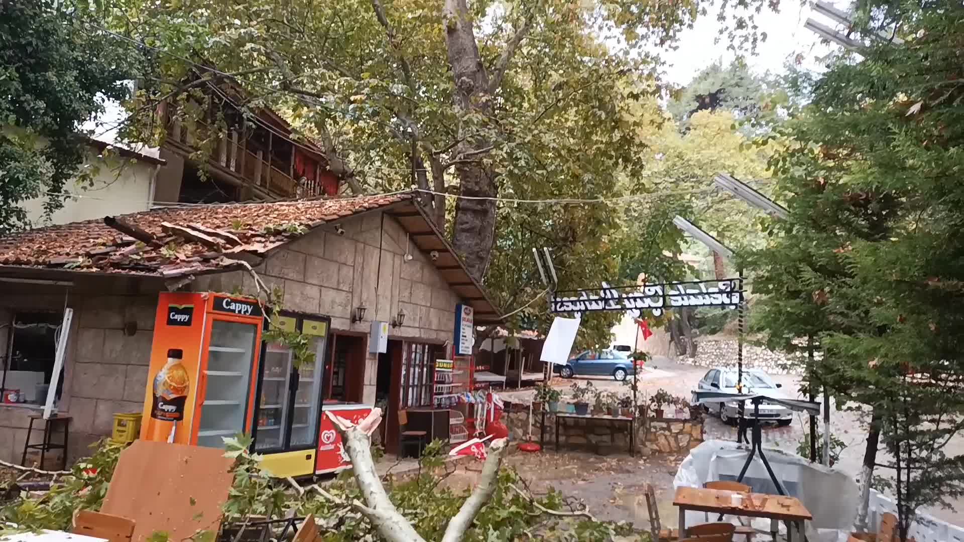 AYDIN KARACASU'DA ŞİDDETLİ YAĞIŞ ANIT AĞACIN DALINI KOPARDI, ETRAFTAKİ VATANDAŞLAR TEHLİKE ATLATTI