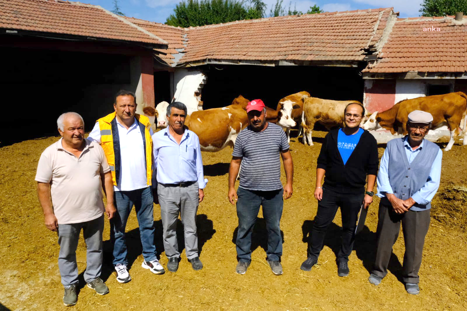 ESKİŞEHİR BÜYÜKŞEHİR’DEN DAMIZLIK BOĞA DESTEĞİ